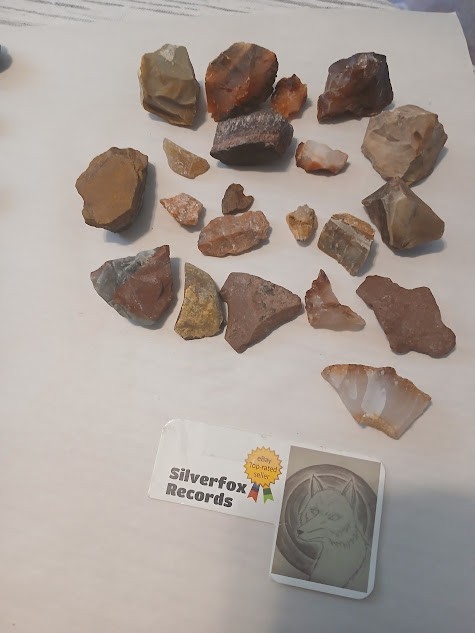 Mega 6LB (Over 250 pcs!) Natural Crystals Mineral Mixed Gemstones + BONUS LOOK!!
