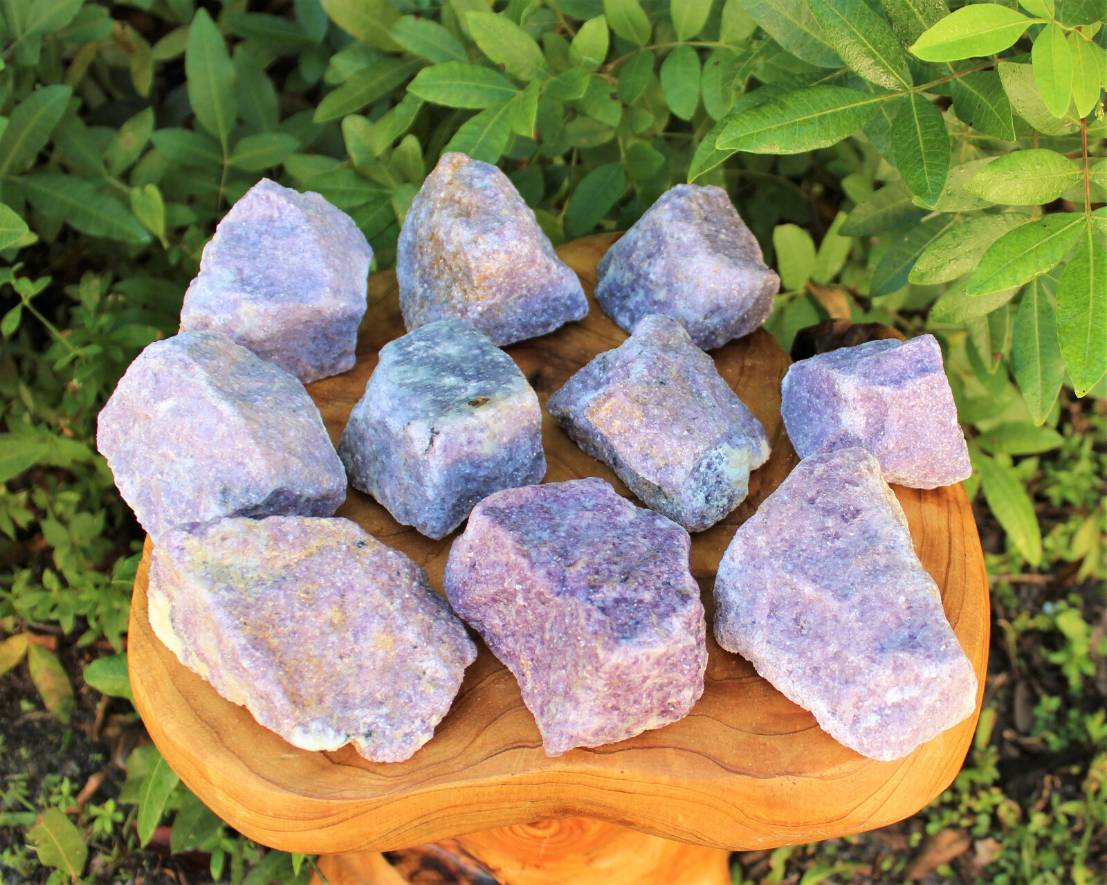 JUMBO Rough Lepidolite: 3″ – 5″ Huge Raw Natural Lepidolite Healing Crystals