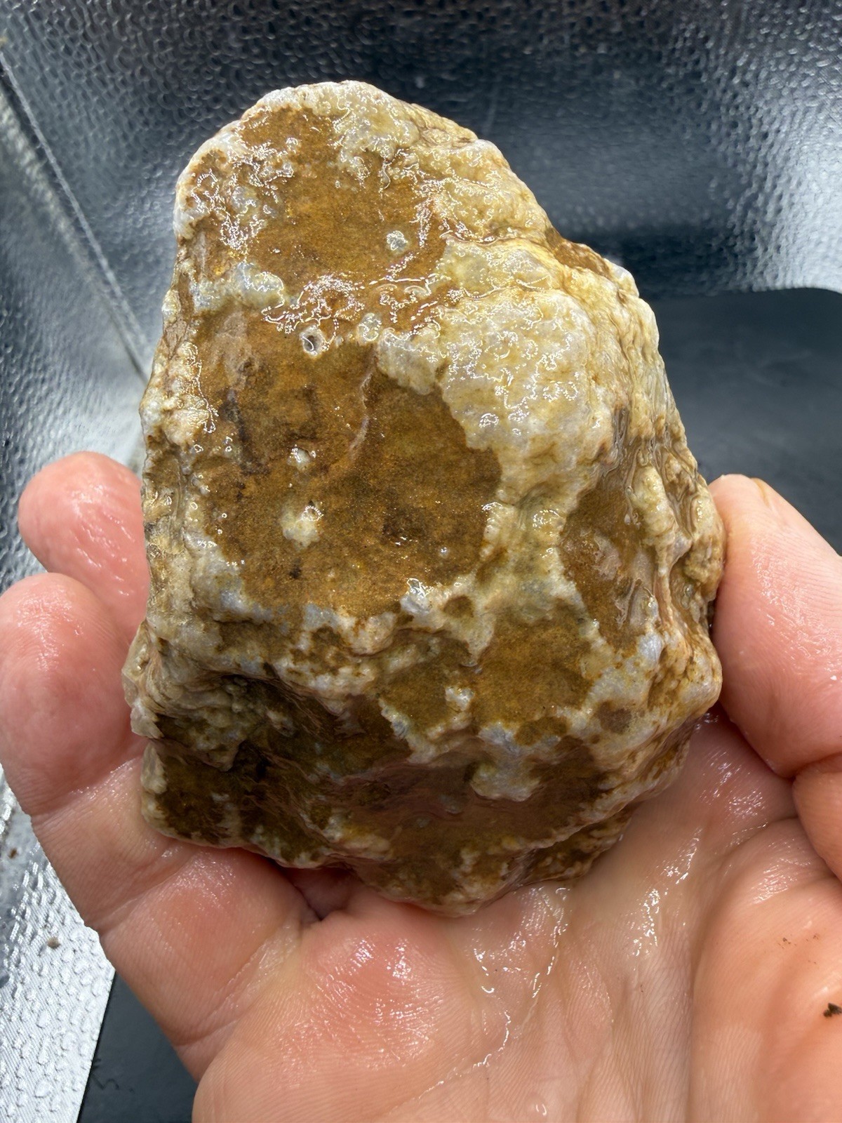 Ancient Fossilized Indiana Purple Lilac Banded Clear Quartz Agate 1,830 Carats