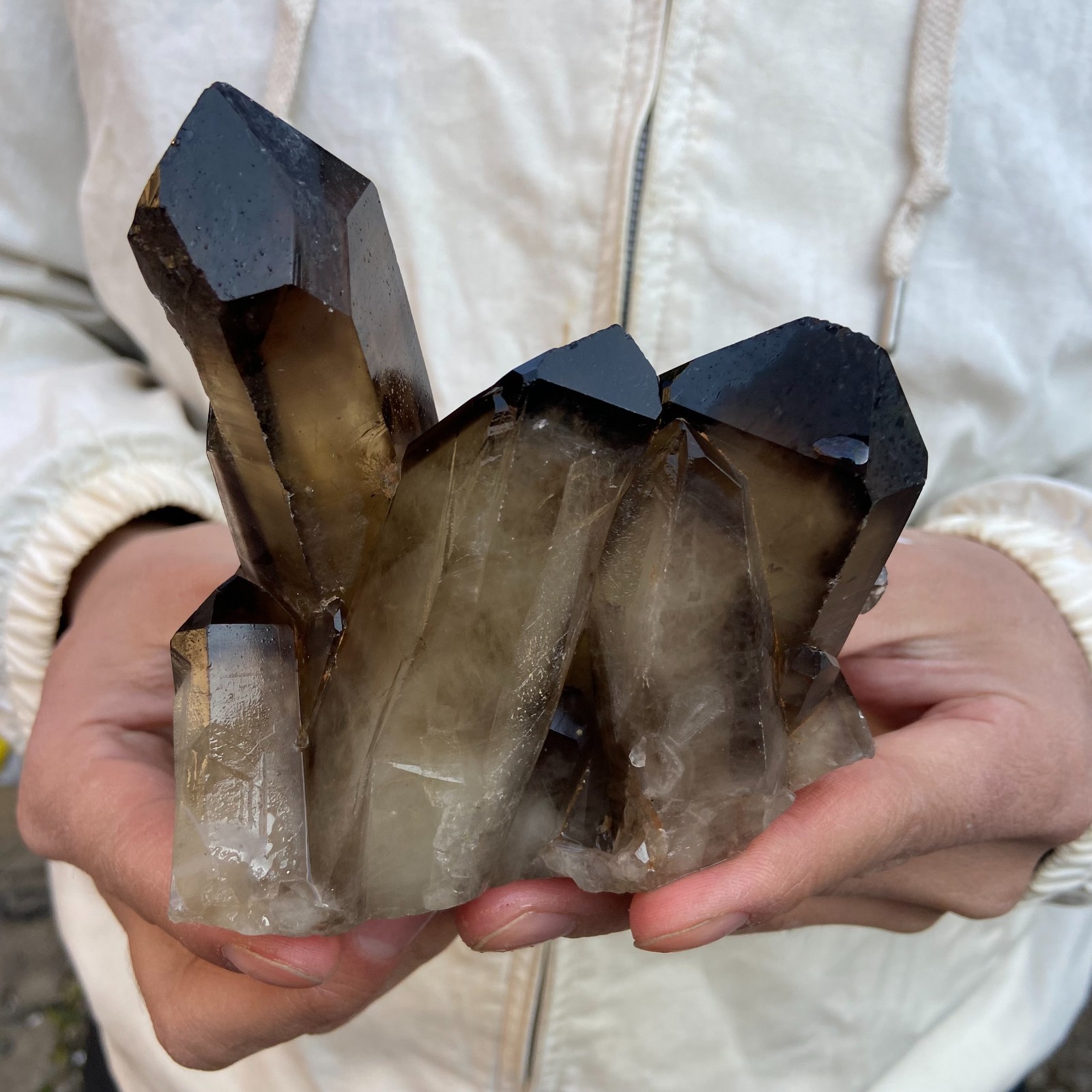 1.8LB Natural Smoky Black Quartz Cluster Crystal raw Specimen Healing