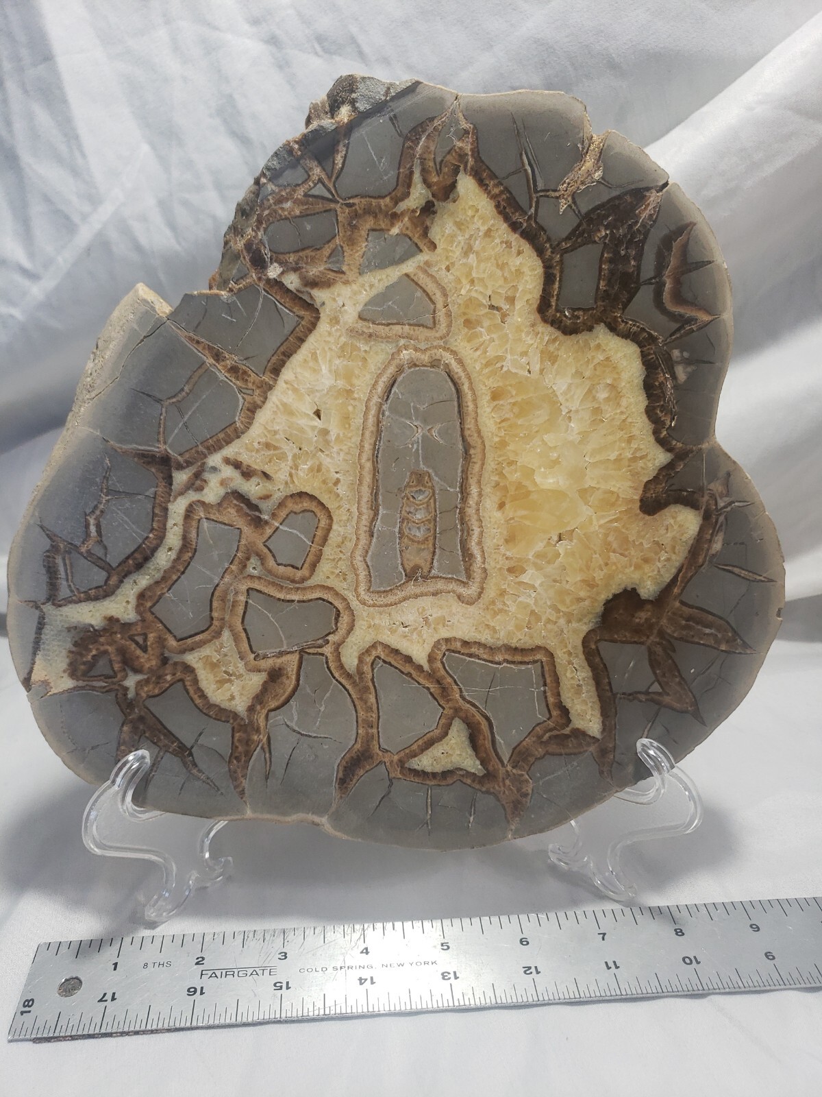 Large Septarian Nodule Specimen from Utah 10″x9″ 3 pounds 13 ounces (1708g)