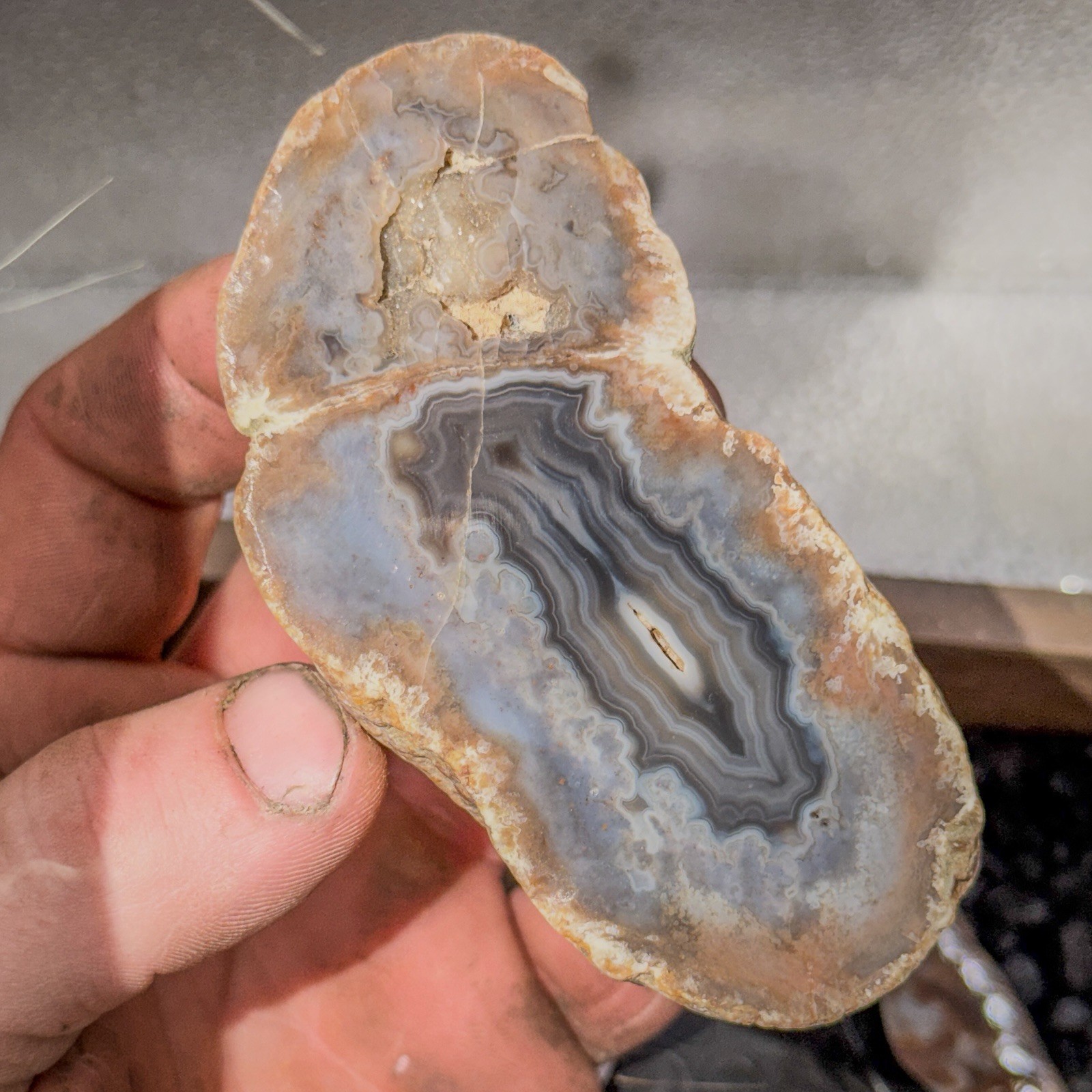 Phenomenal Mirror Polished Blue And Grey Banded Agate Specimen From Kentucky