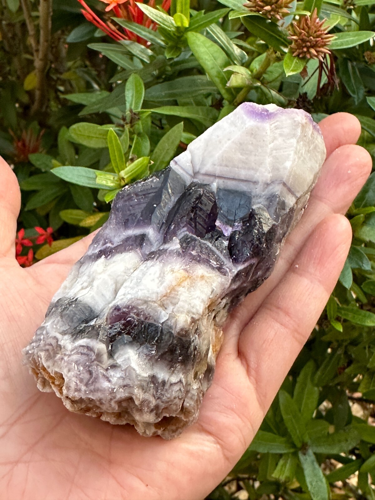 Extra Large Chevron Amethyst Rough Stone, 2″- 7″ Raw Chevron Amethyst Crystals