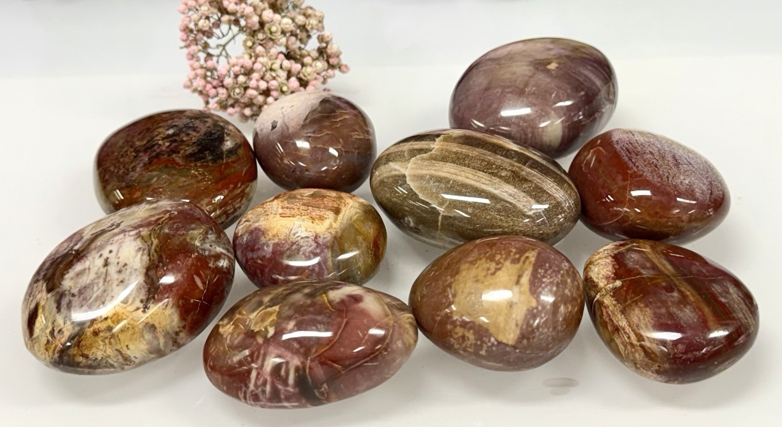 Wholesale Lot 2 Lbs Natural Petrified Wood Palm Stone Crystal Healing