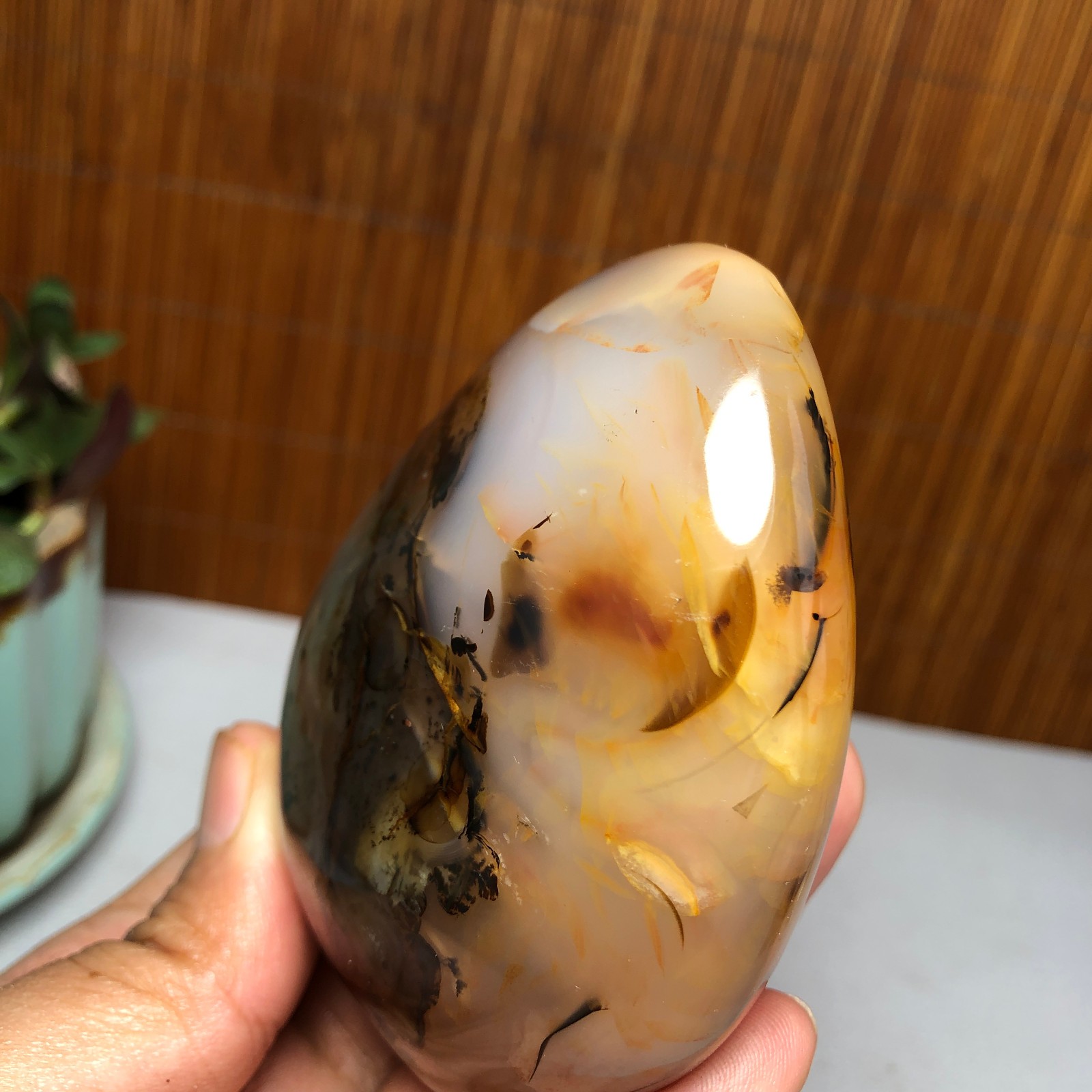 Natural aquatic plants agate pretty Crystal specimens free standing 331g A9998