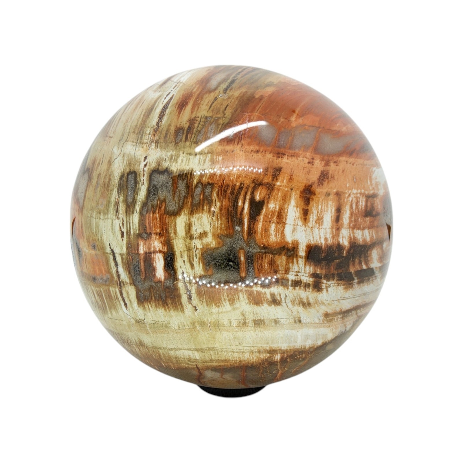 Petrified Wood, 3.75″, sphere, display specimen, #R-6529
