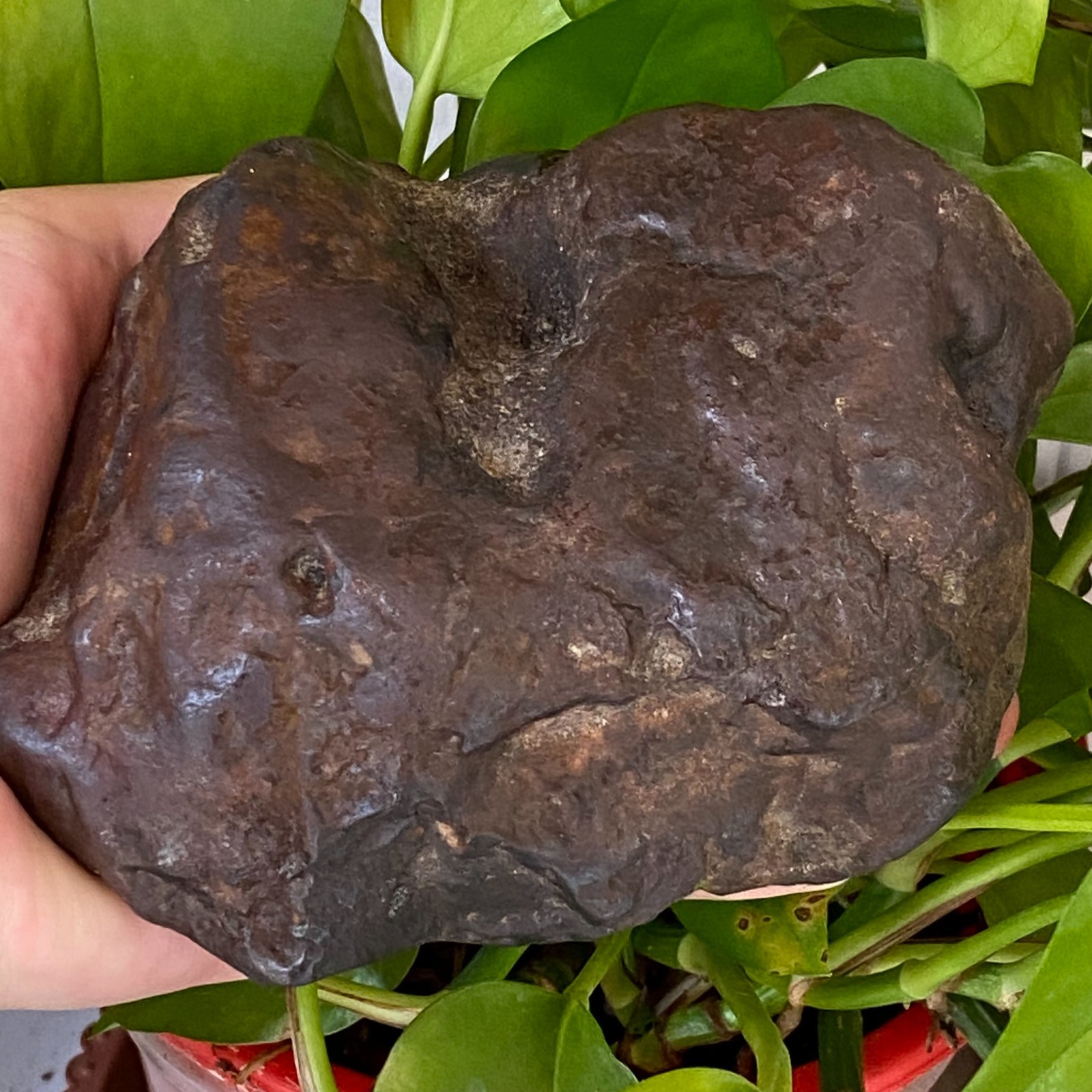 1357g Natural Iron Meteorite Specimen from China W380