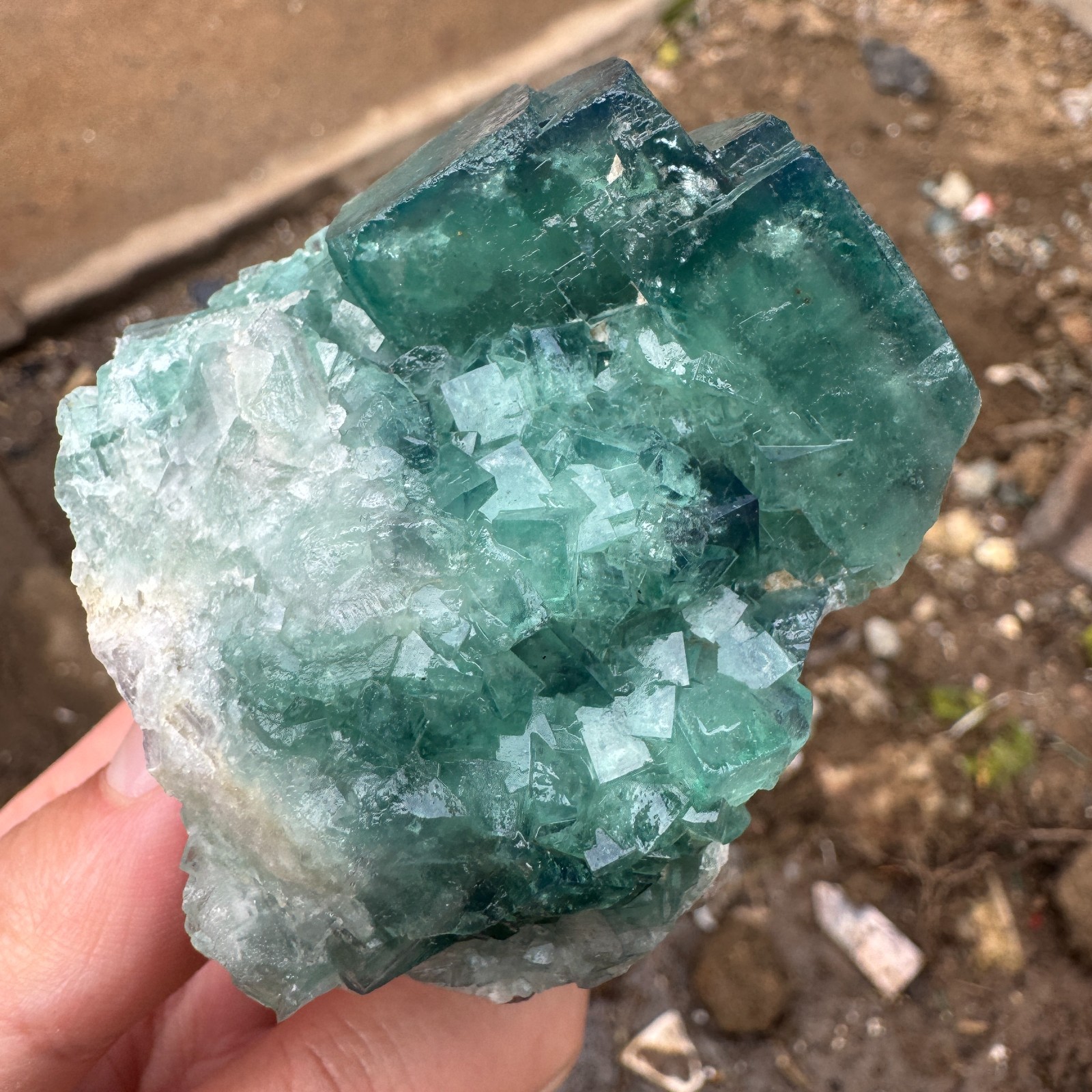 220G Natural cubic green fluorite crystal cluster rough mineral specimen Healing