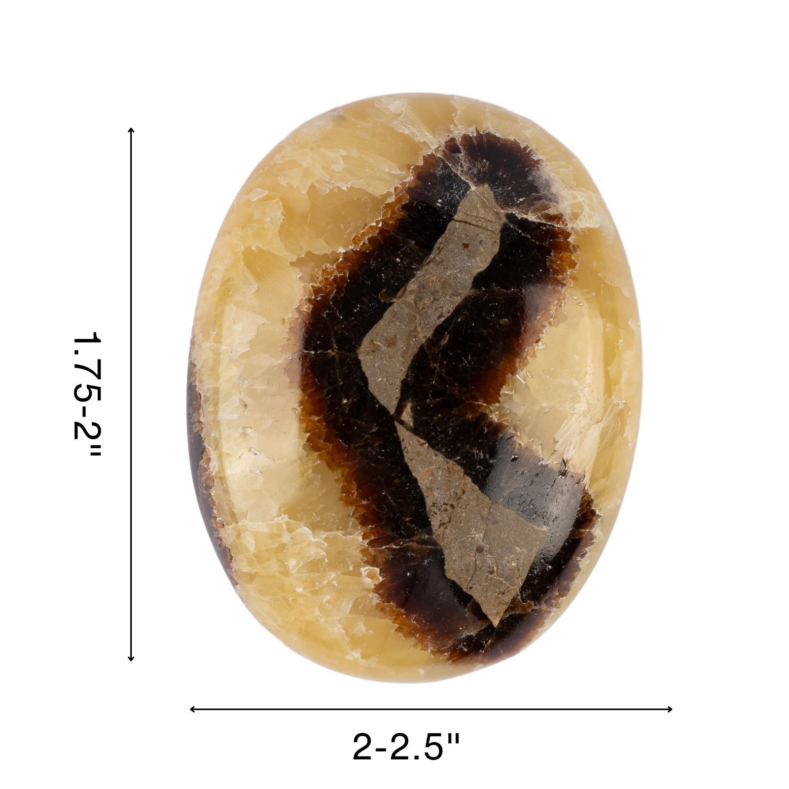 Septarian Palm Stone Crystal – Natural Healing Stone for Anxiety Relief & Medita