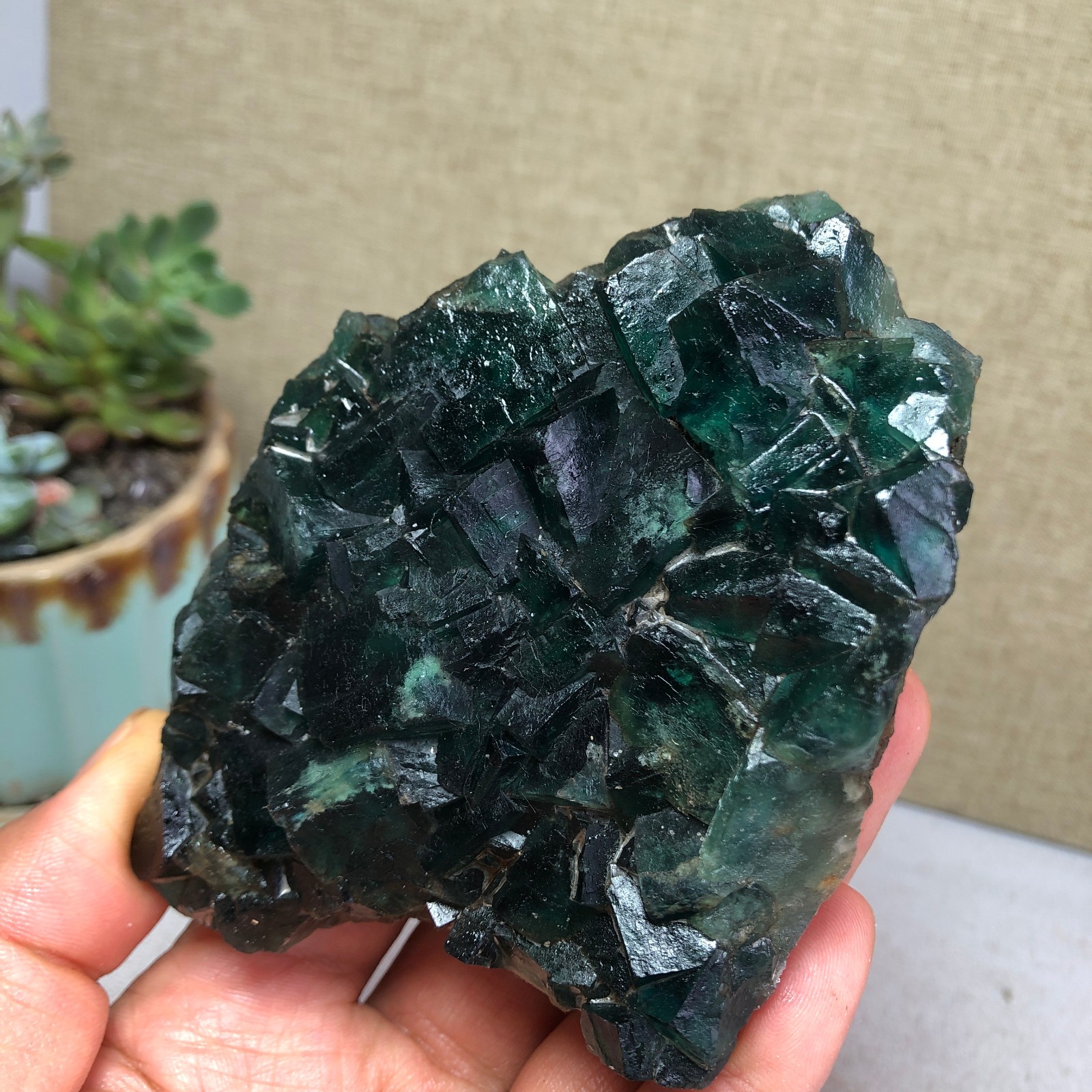 345g NATURAL Green Cubic FLUORITE Crystal Cluster Mineral Specimen A4719