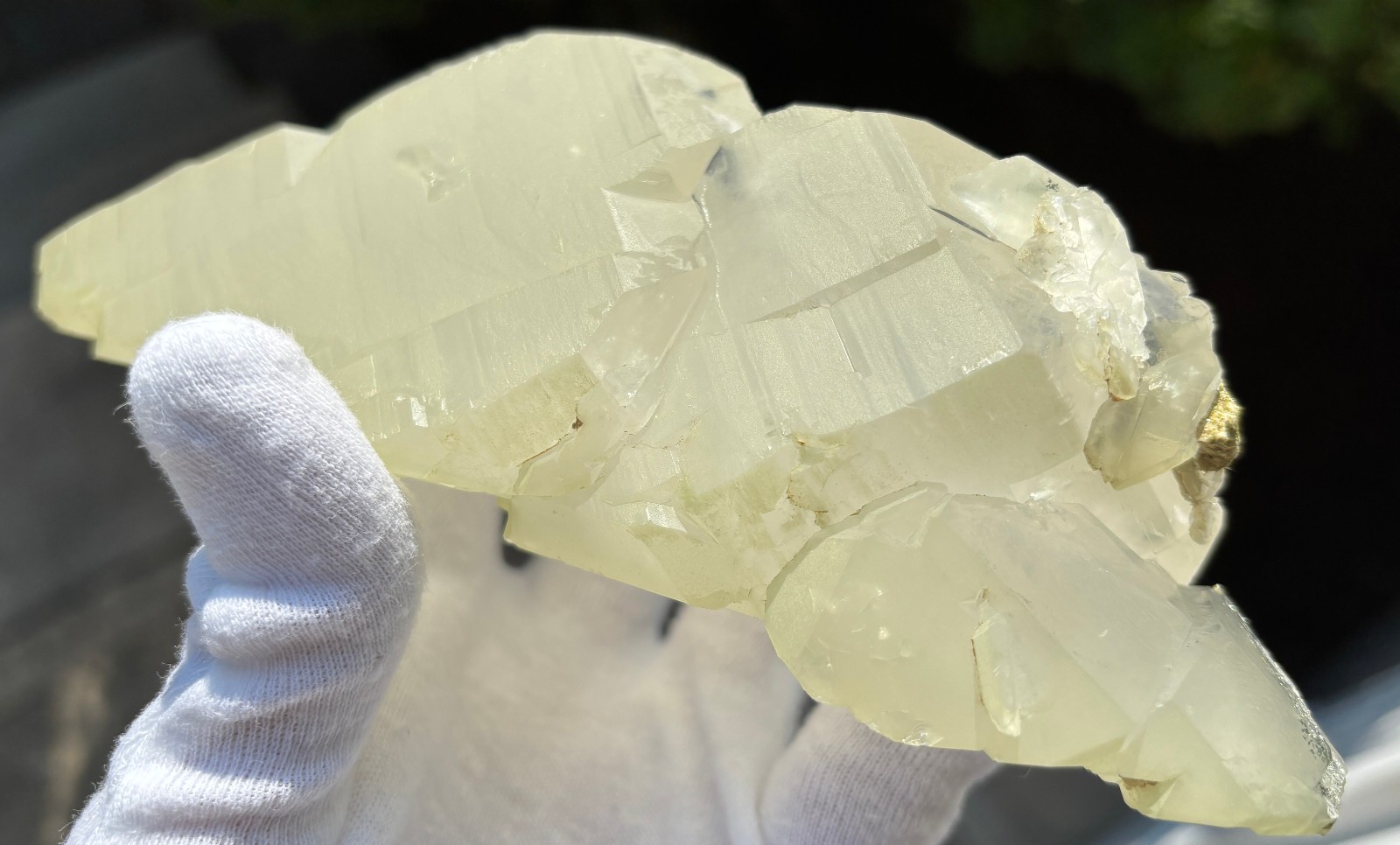 USA SALE SEE VIDEO 479g 1LB+ 6.1″ LARGE ELESTIAL EPIDOTE QUARTZ CRYSTAL SPECIMEN