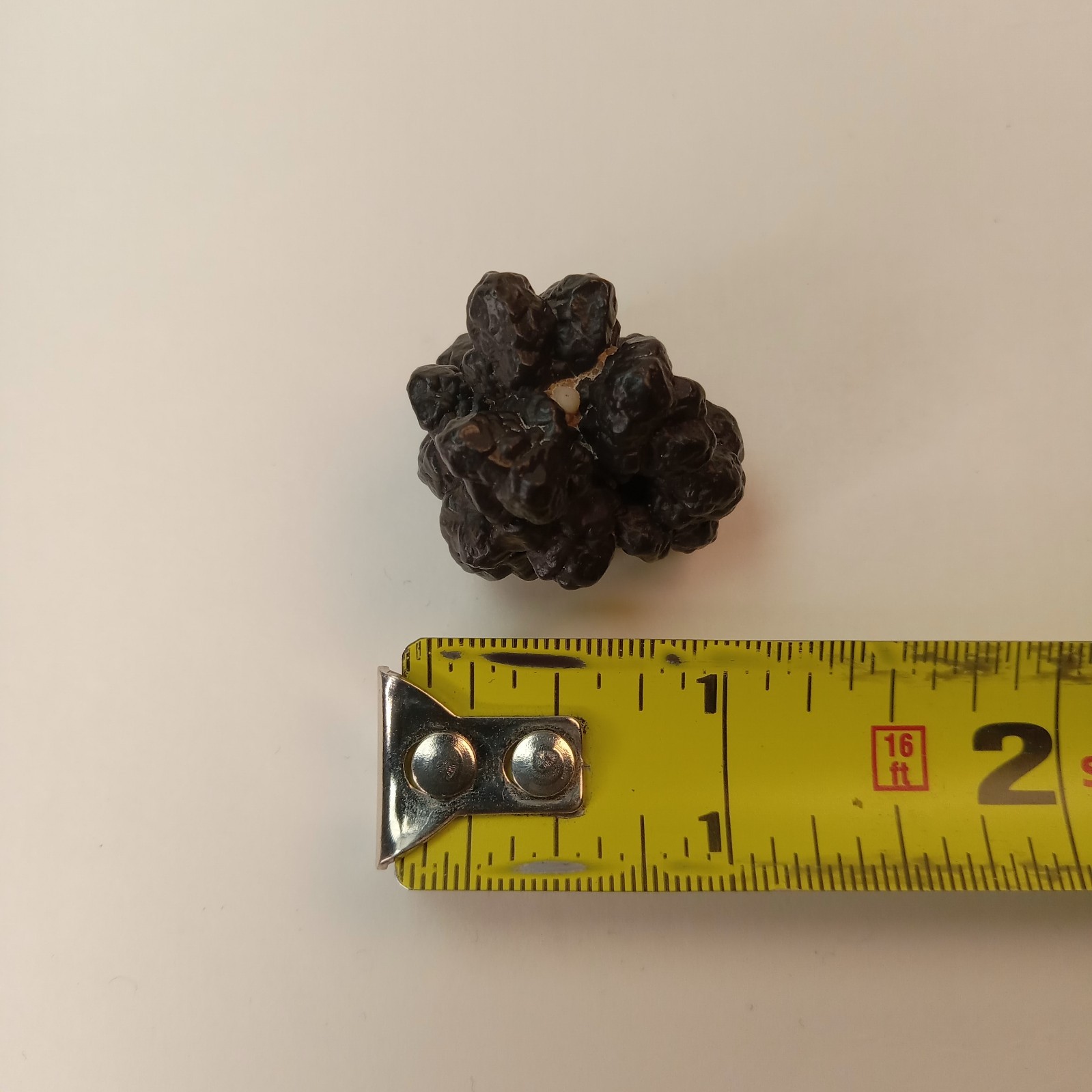Prophecy Stone Natural Goethite Hematite Mineral Specimen 19g | H9