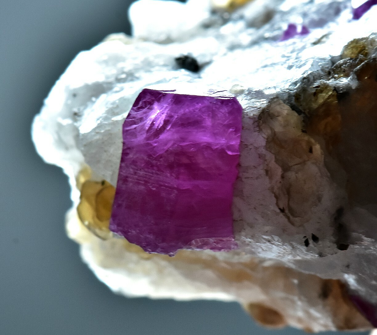 416 CT Excellent Quality Top Lustrous Ruby Crystal w/ Phlogopite Mica On Matrix