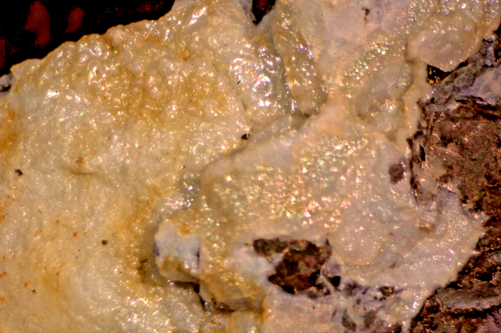 Sasaite (Type Locality): Breitenau Mine, Hochlantsch, Styria, Austria-MIcromount