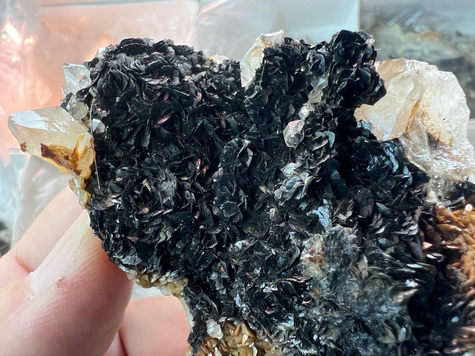 12 Quartz & Siderite Specimens – Potosí Mine, Santa Eulalia, Chihuahua, Mexico
