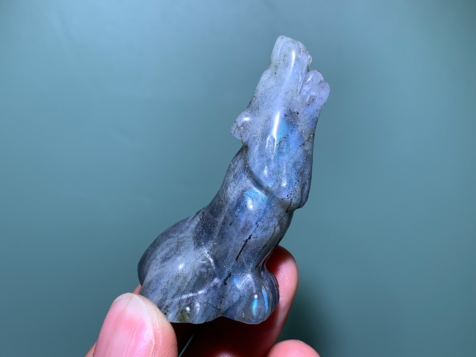2.2”+ Natural Labradorite quartz crystal hand carved Crystal wolf skull 1pc
