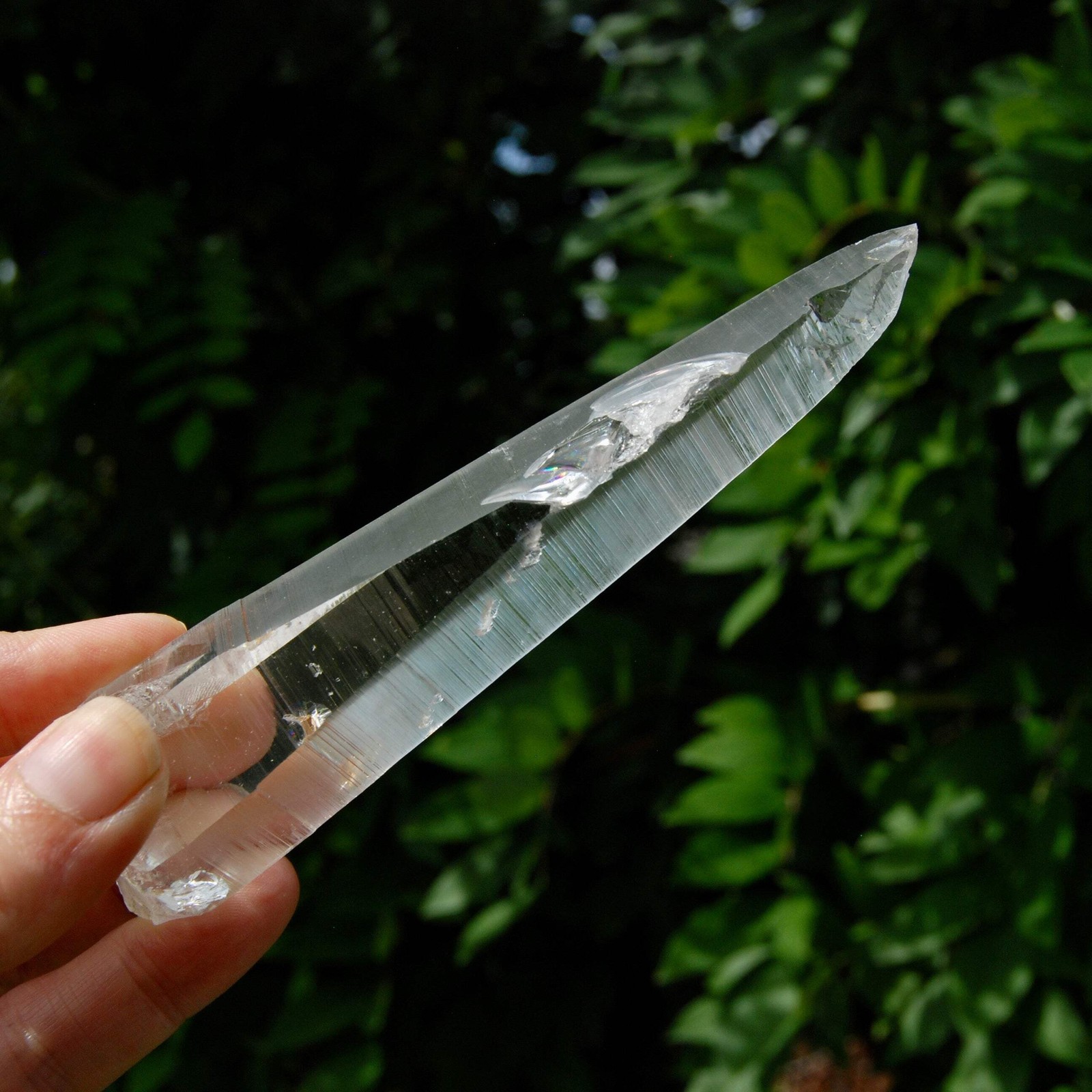 Lemurian Crystal Laser Starbary – 5.25″ 111g Etched Optical Empathic Warrior Qua