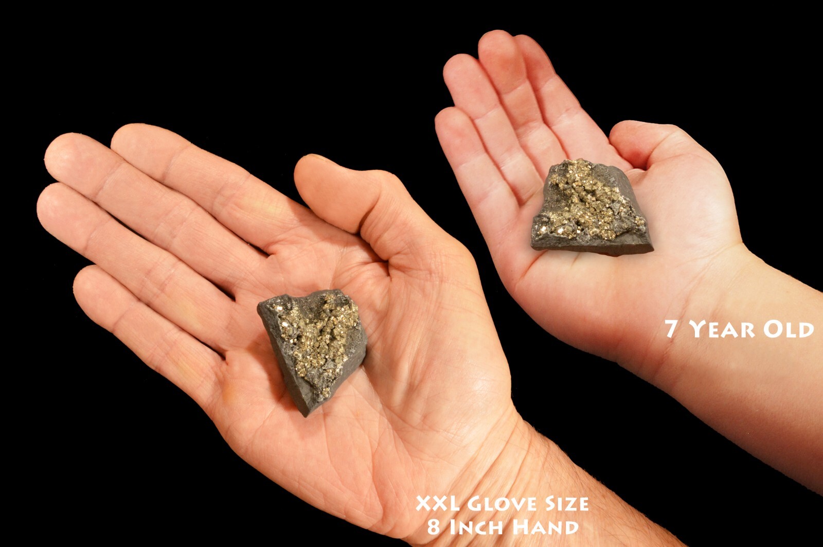 Pyrite On Shungite 2″ 1-2 Oz Raw Metaphysical Root Chakra Healing Crystal Stone