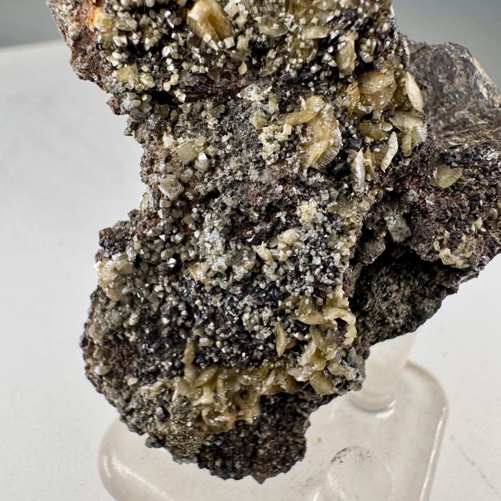 Wulfenite Crystals on Matrix: Lill Mine, Přibram, Czech Republic- Classic!!