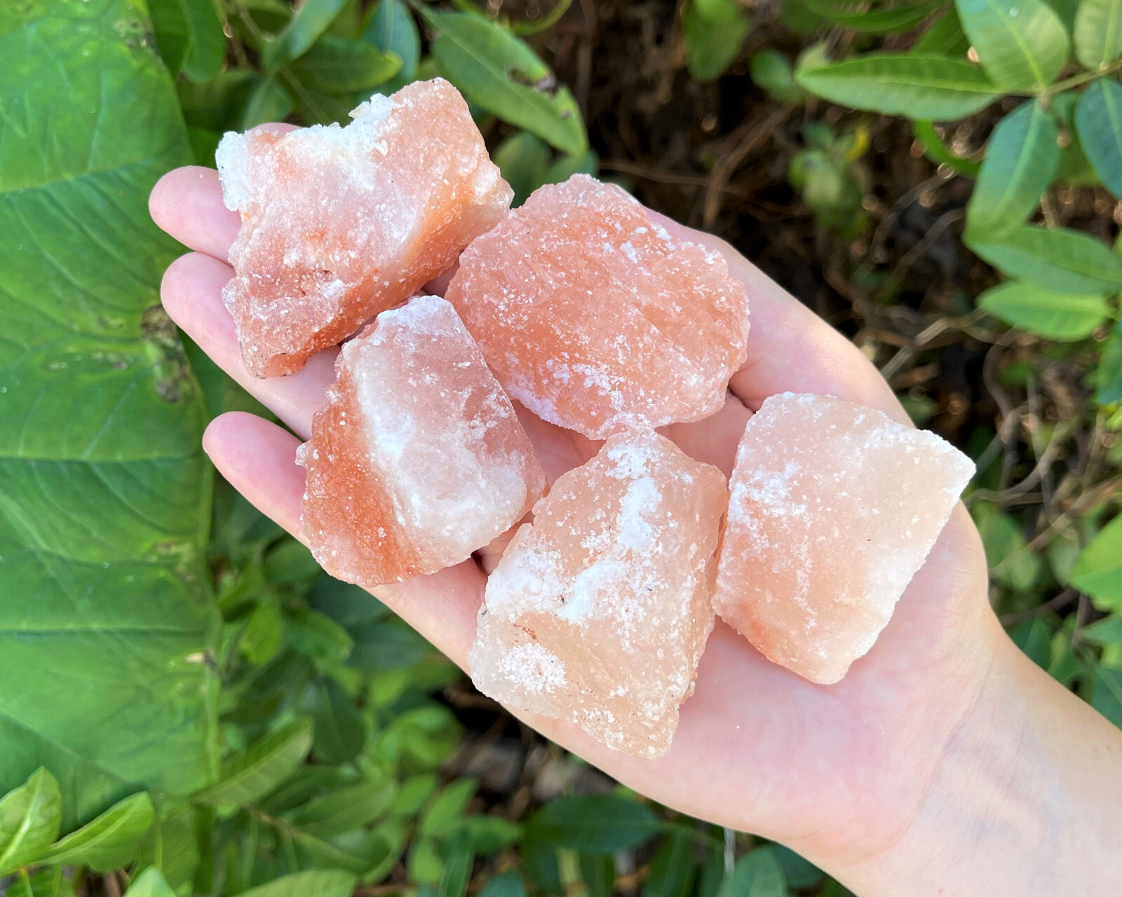 5 lb Himalayan Salt Chunks Crystals Rocks (Wholesale Bulk Lot)
