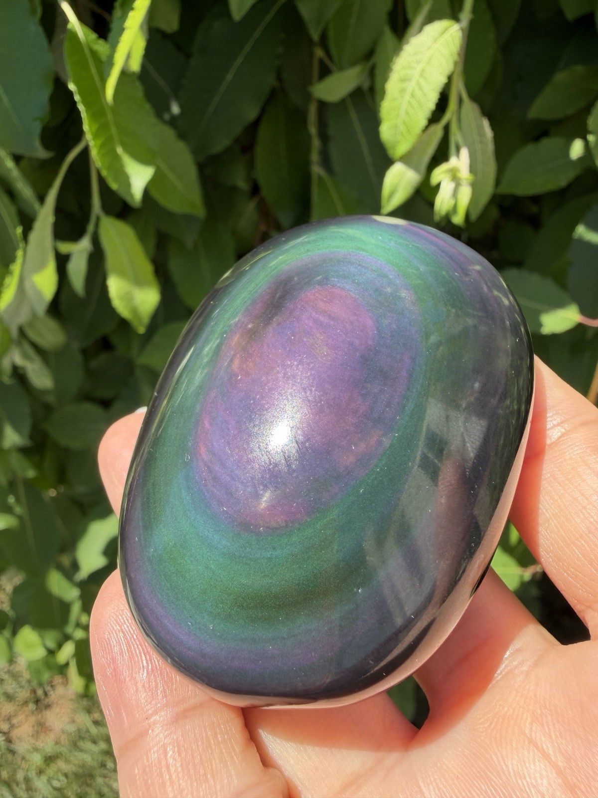 Wholesale Lot 2 Lbs Natural Rainbow Obsidian Palm Stone Crystal Healing
