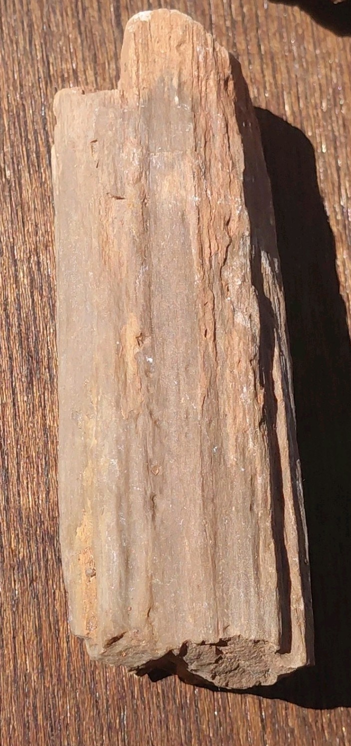 Petrified Wood Fossilized Branch W Bark Druzy Quartz-Hurricane Utah 3 1/4″×1 1/4