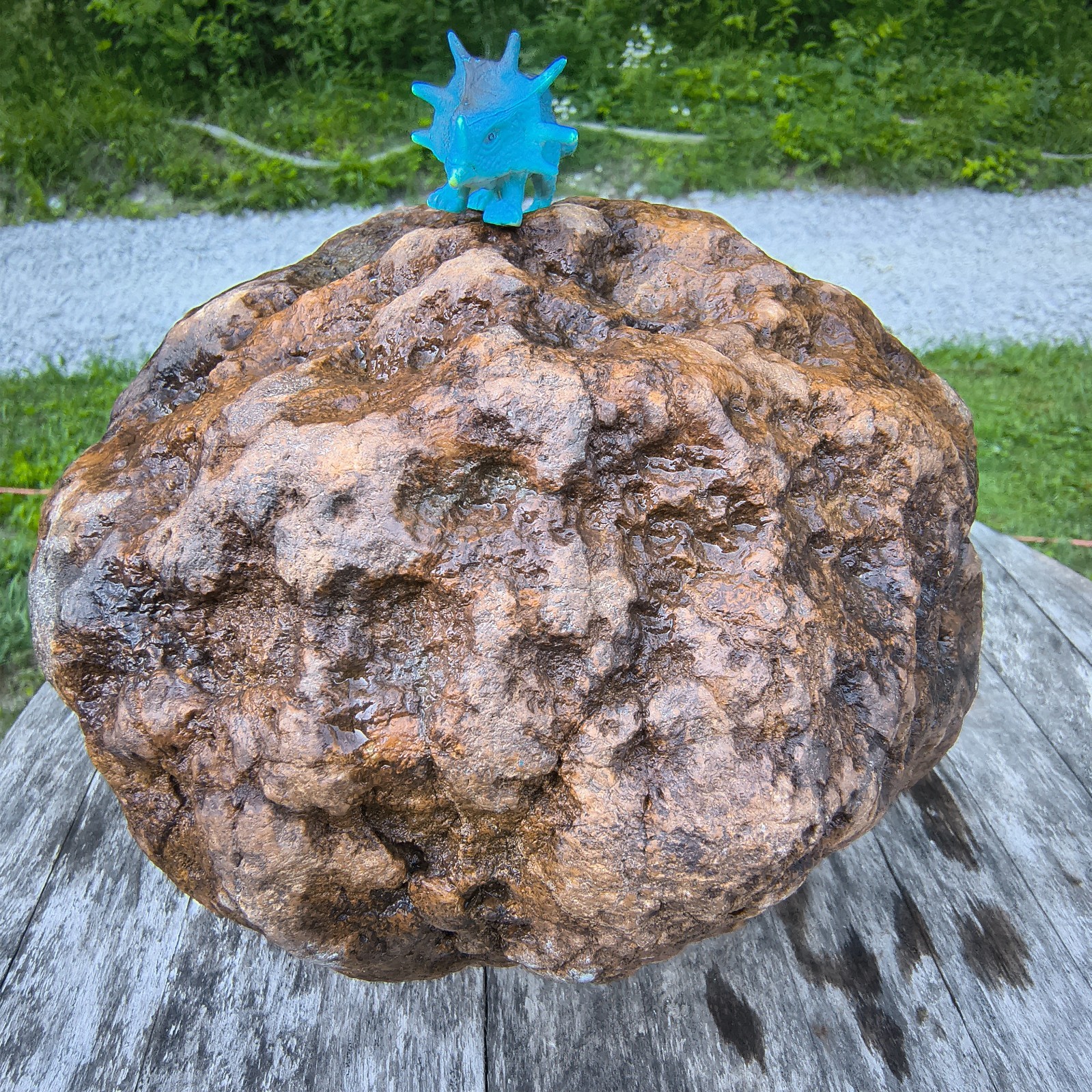 10.07b Kentucky Geode Unopened Natural Crystal Geode + Bonus
