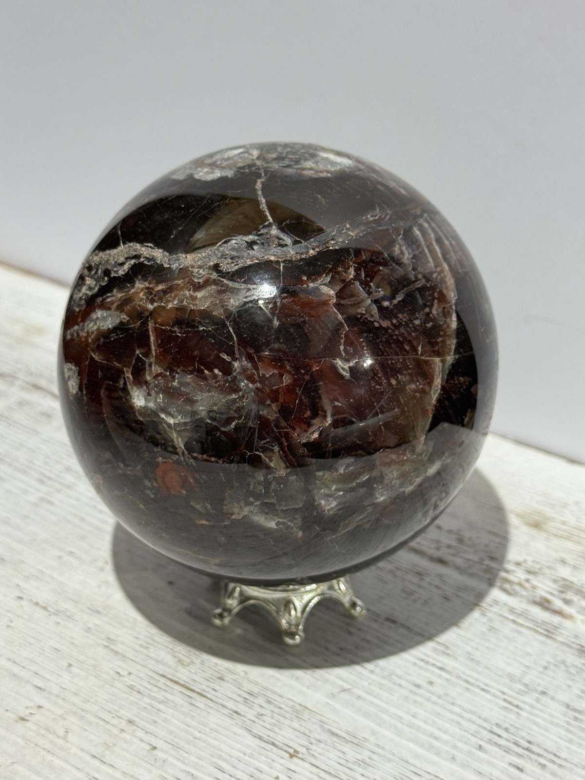 Petrified Wood Sphere 3.75” Natural Stone Carving