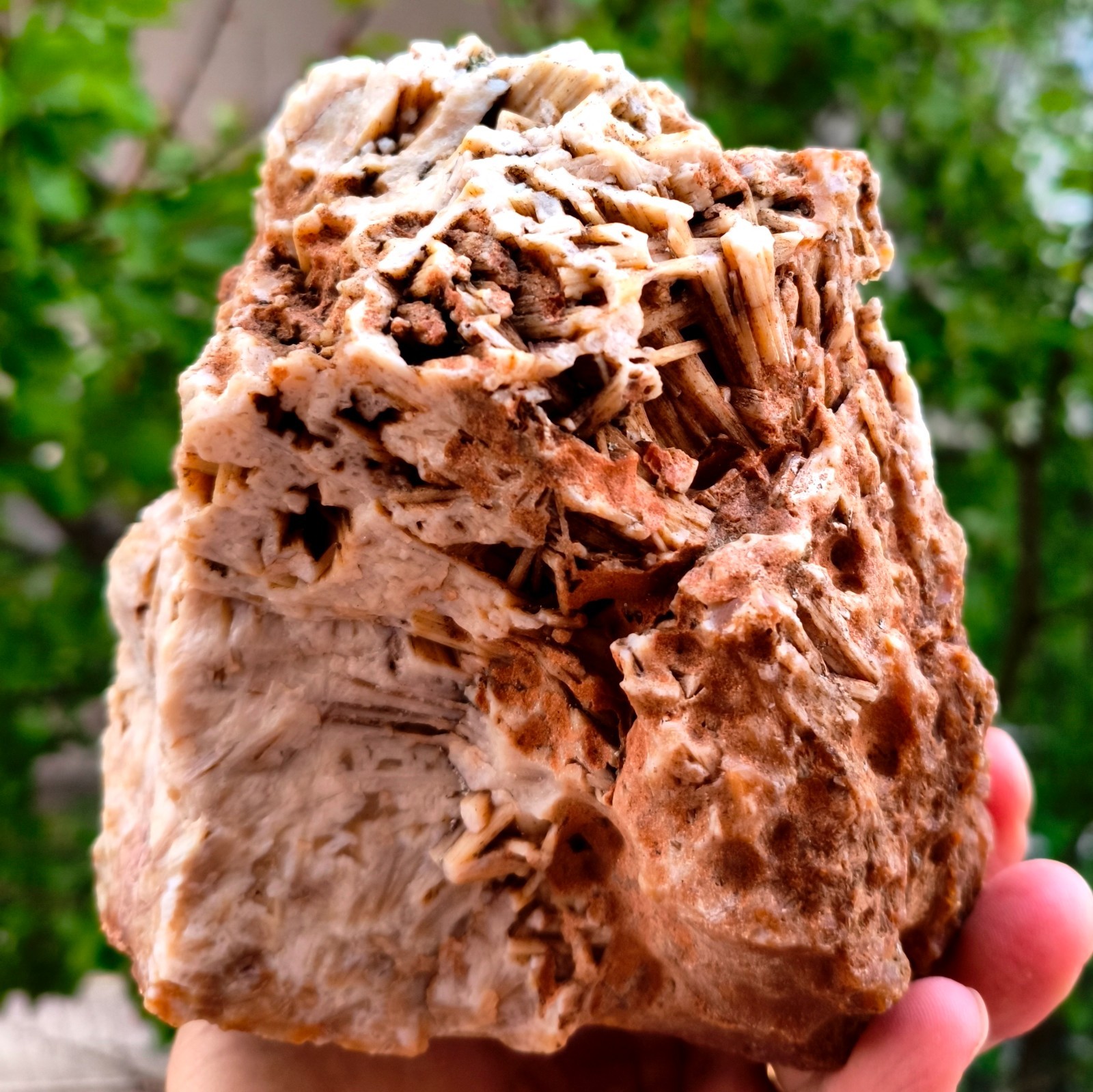 5 Lb 14.28 Oz Extremely Rare Raw Stick Rare Agate
