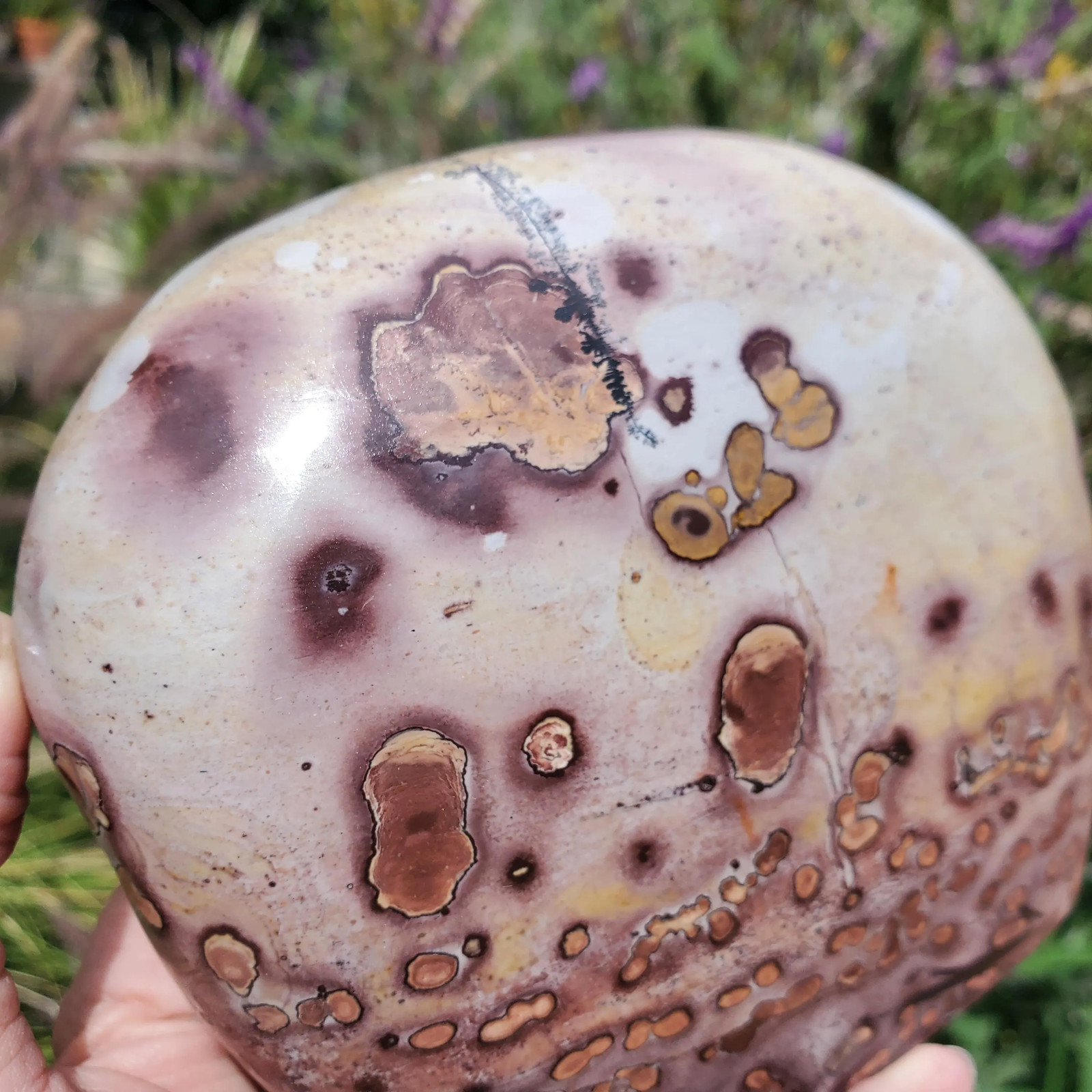 Picture Stone Jasper Dendritic Dendrite Display Freeform | 3lbs 1oz | 1330 Gram