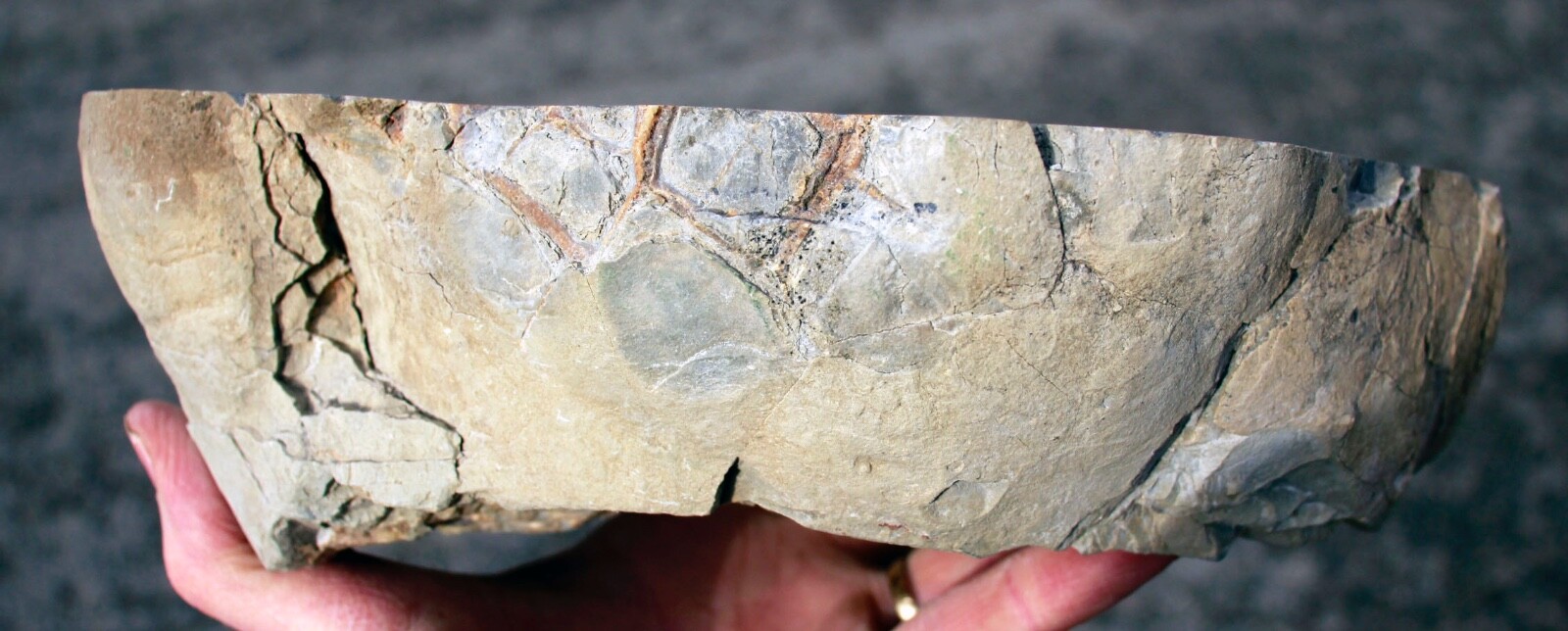 Crystal Filled, Polished Septarian Geode from Utah • 12.1 lbs.