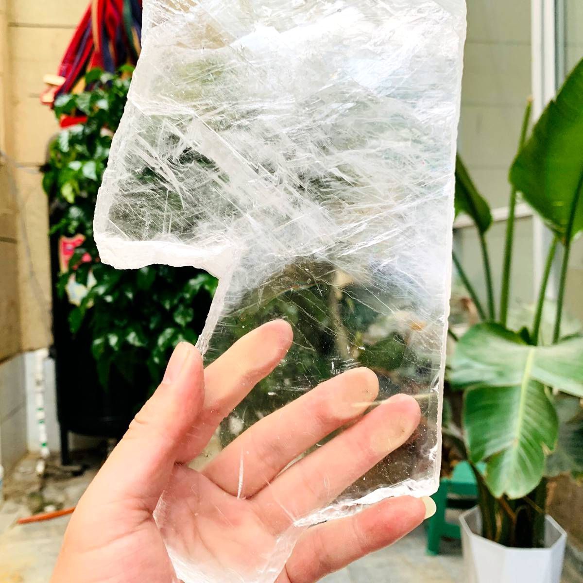 2.84LB Natural Clear Transparent Selenite Slab Gypsum Crystal Mineral Specimen
