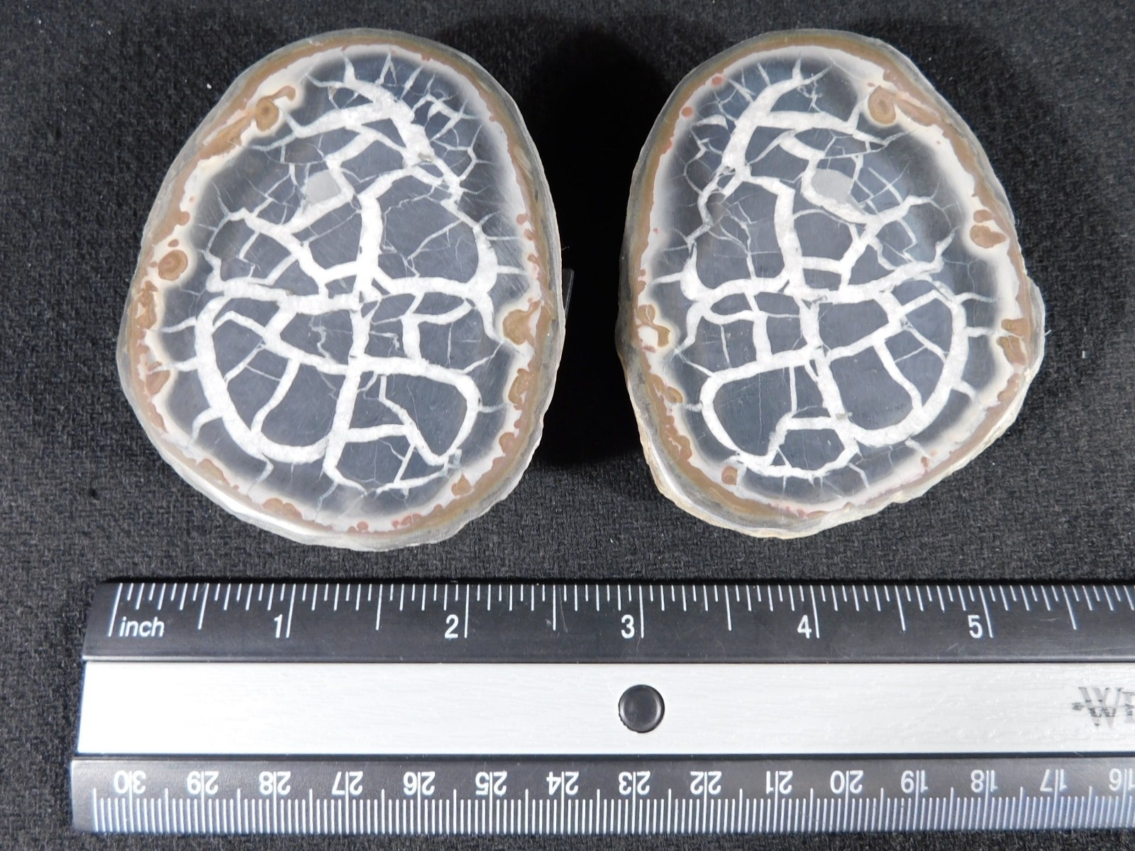 Neat! Lighting Like Pattern! Split and Polished SEPTARIAN Nodule Morocco 248gr