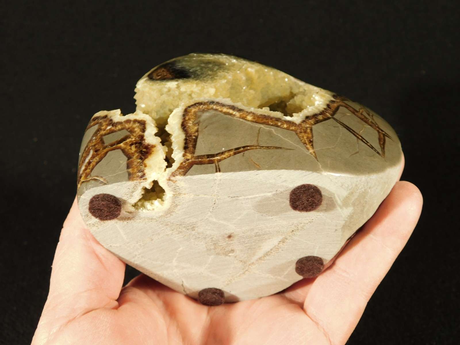 Big Polished AAA Crystal Filled Hollow Septarian GEODE Free Form Utah 1044gr