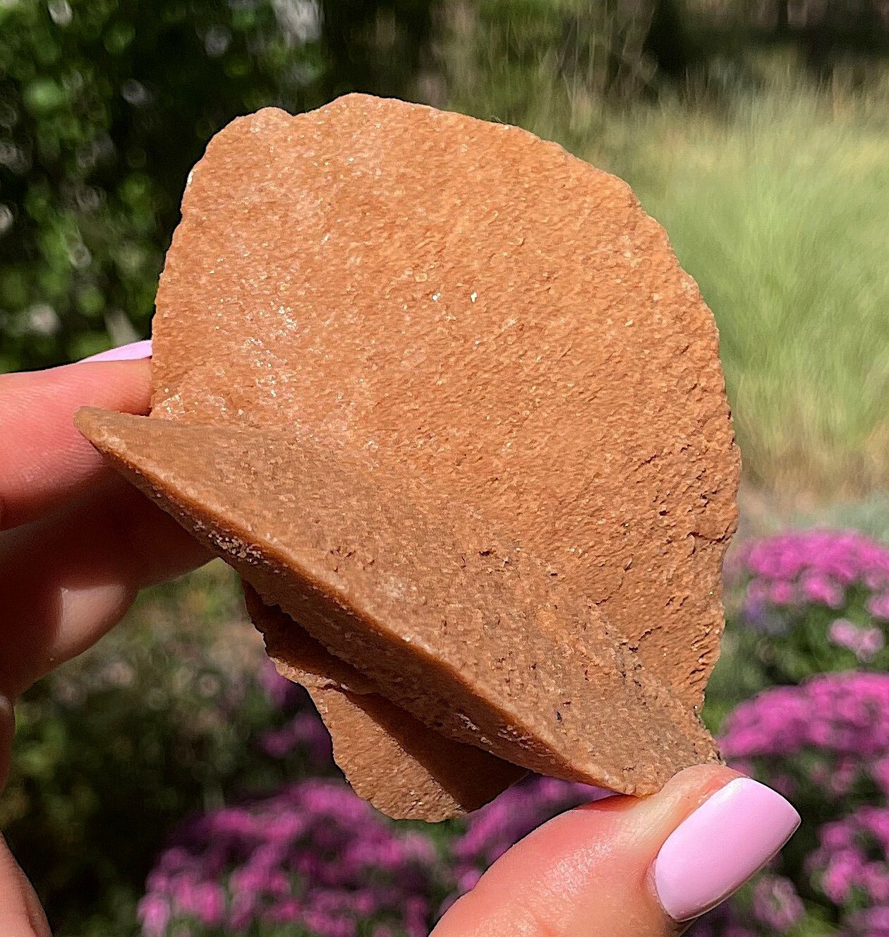 Selenite Or Gypsum Also Desert Rose Western Sahara Morocco Rare Large 9.0 Cm’s