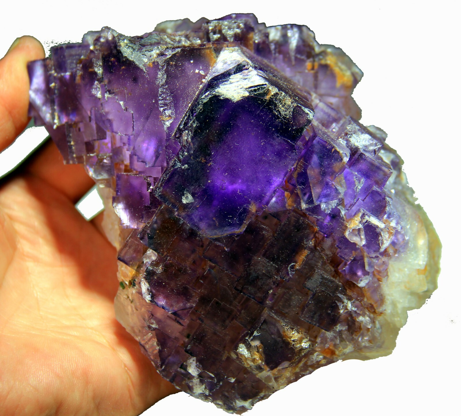 5.25″ Gorgeous FLUORITE on Matrix, Cave-in-Rock, Hardin County, Illinois! FL366