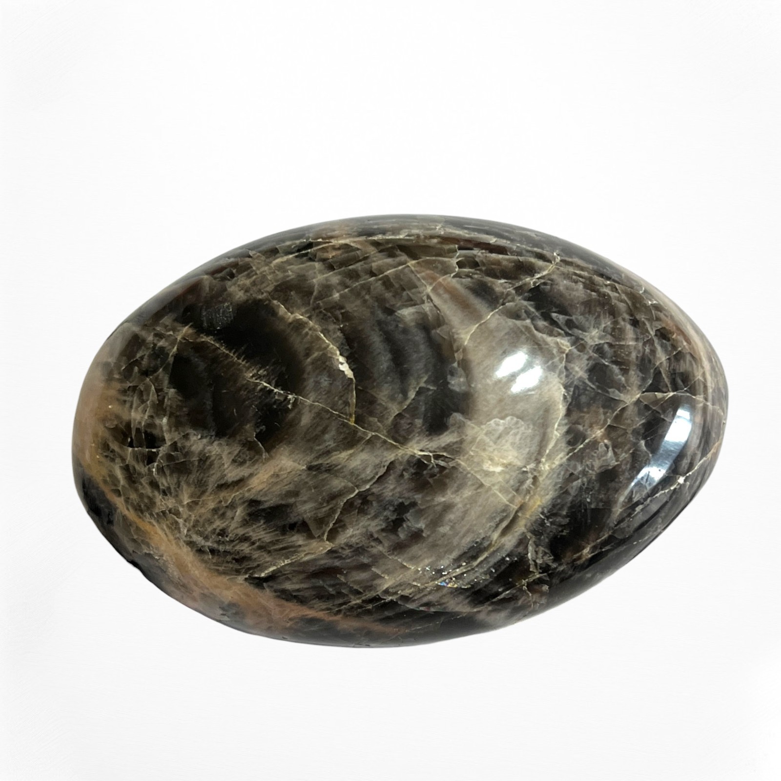 Black Moonstone Palm Stone Polished Oval Rock Mineral Meditation Healing Crystal