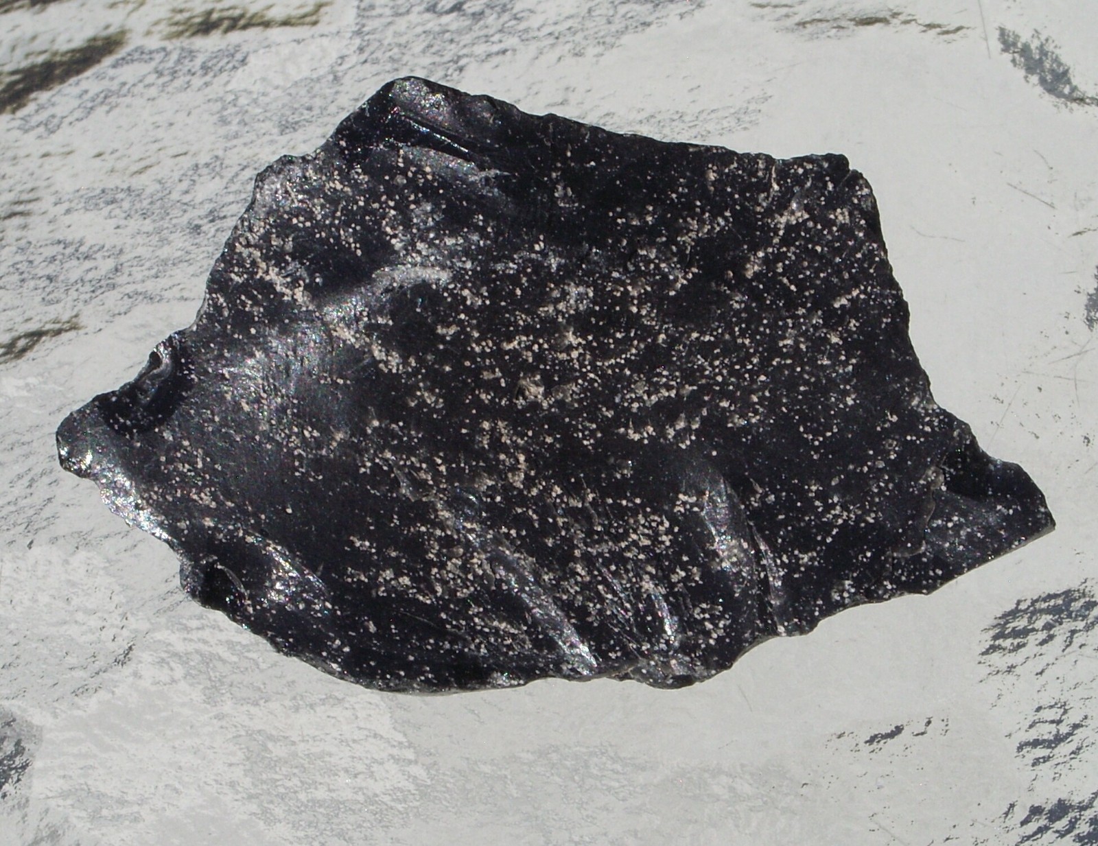 Raw Arizona Black Snowflake Obsidian Free Form Stone Medium 63mm 44 grams