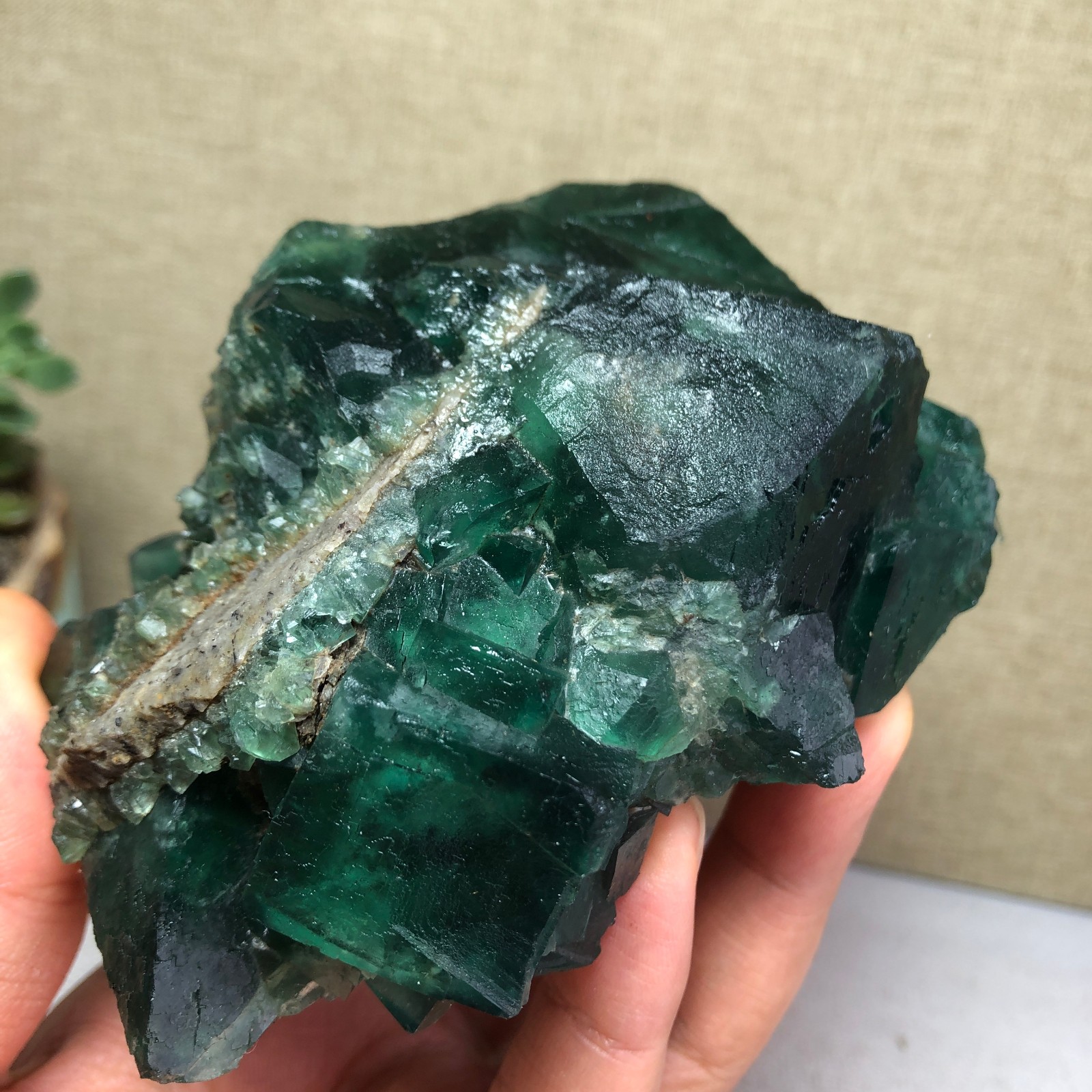 681g NATURAL Green Cubic FLUORITE Crystal Cluster Mineral Specimen A4721