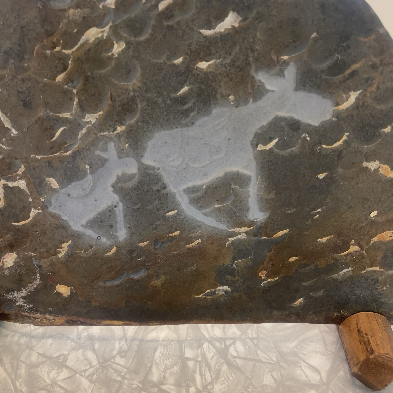 Petroglyph Animals Mineral Slab Specimen Display Wood Stands Wire Hanger