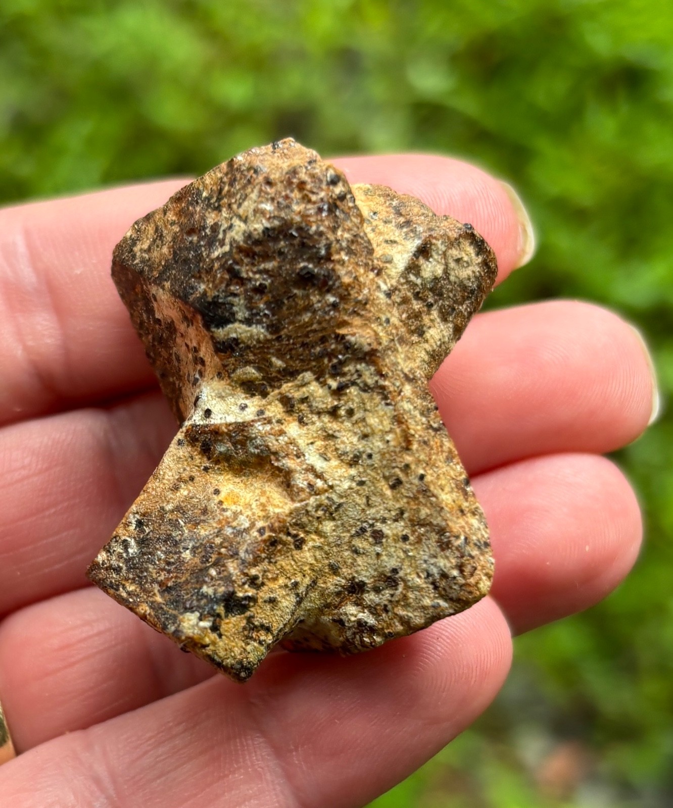 Staurolite Crystal Fairy Cross St Andrew’s Cross Fannin County Georgia 1.75”Inch