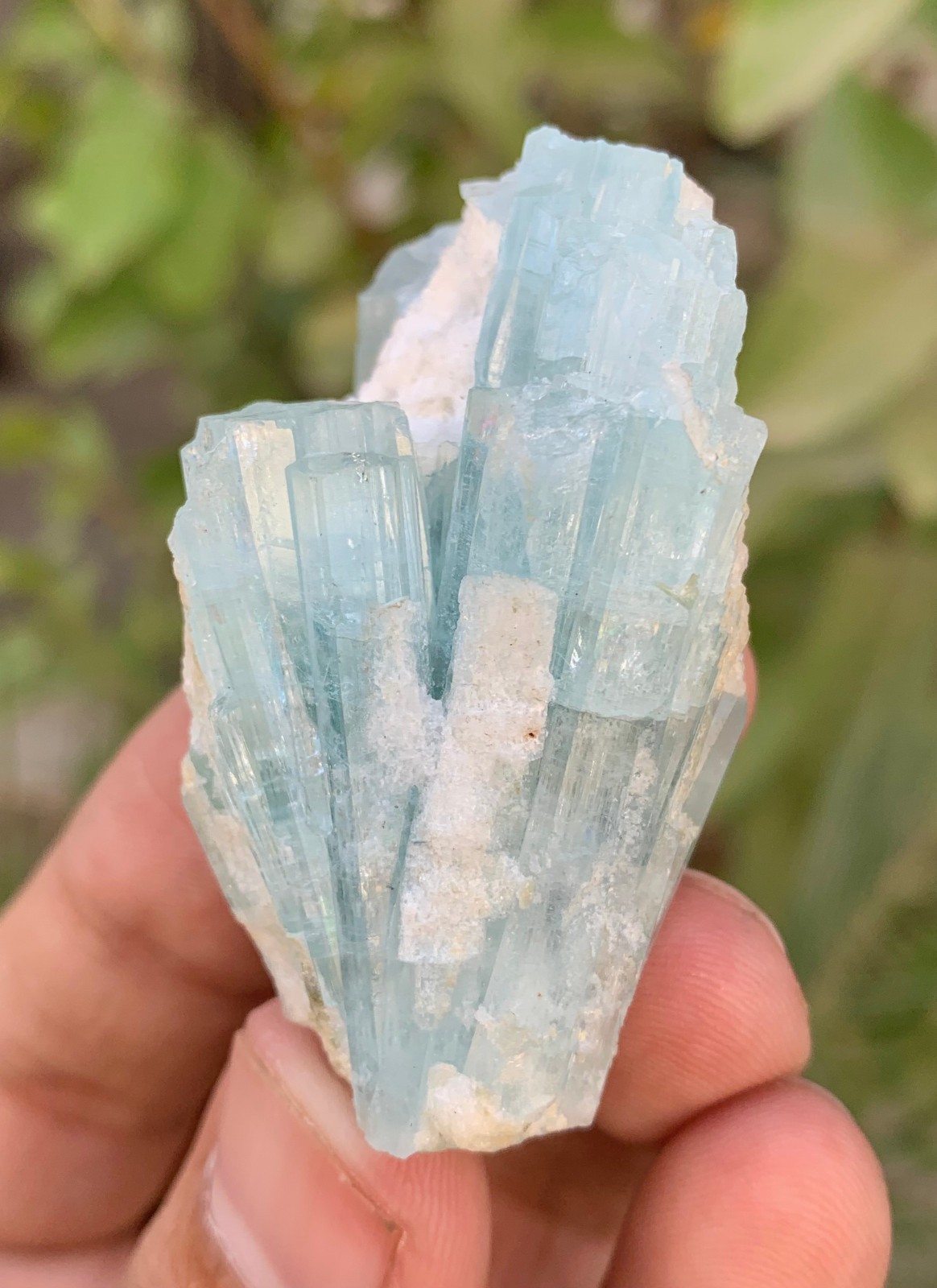 38 Gm Natural Sky Blue Aquamarine Crystal Cluster Specimen From Skardu Pakistan