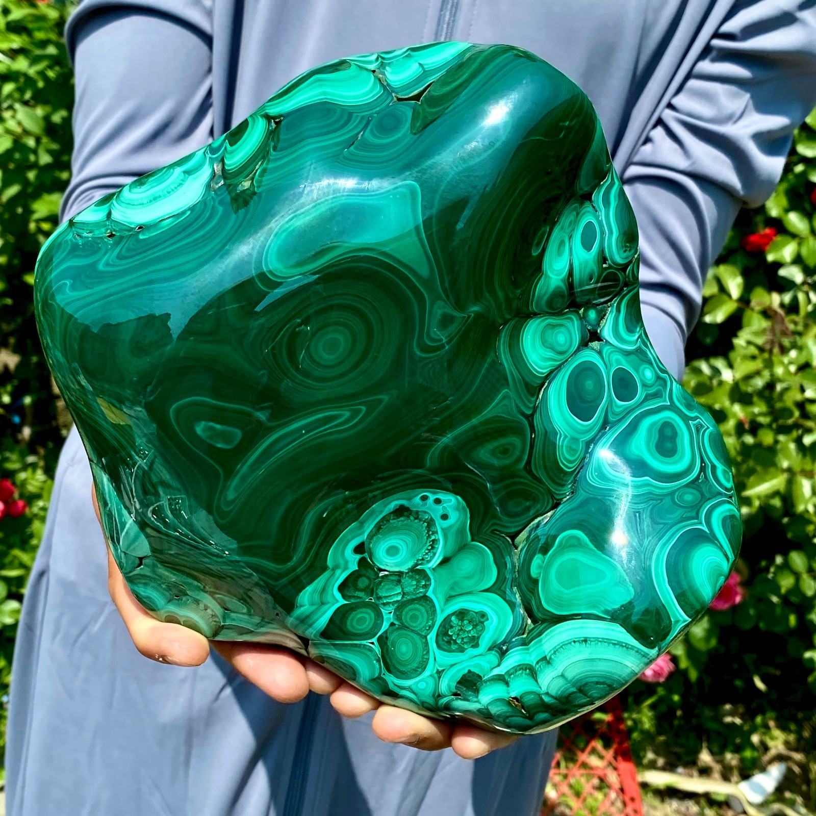 9LB Natural glossy Malachite egg transparent cluster rough mineral sample