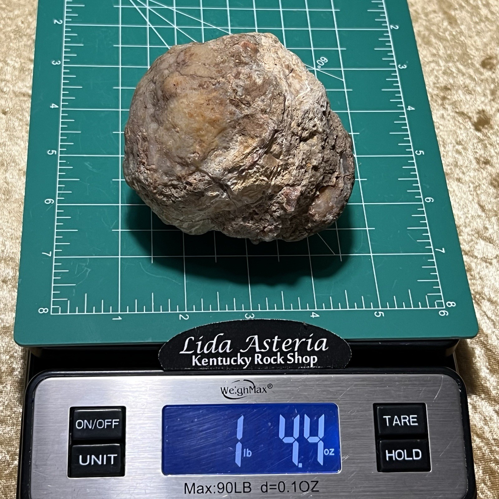 Unopened Geode Crystal Quartz Rattler Whole Uncut Break Your Own 1.4Lb