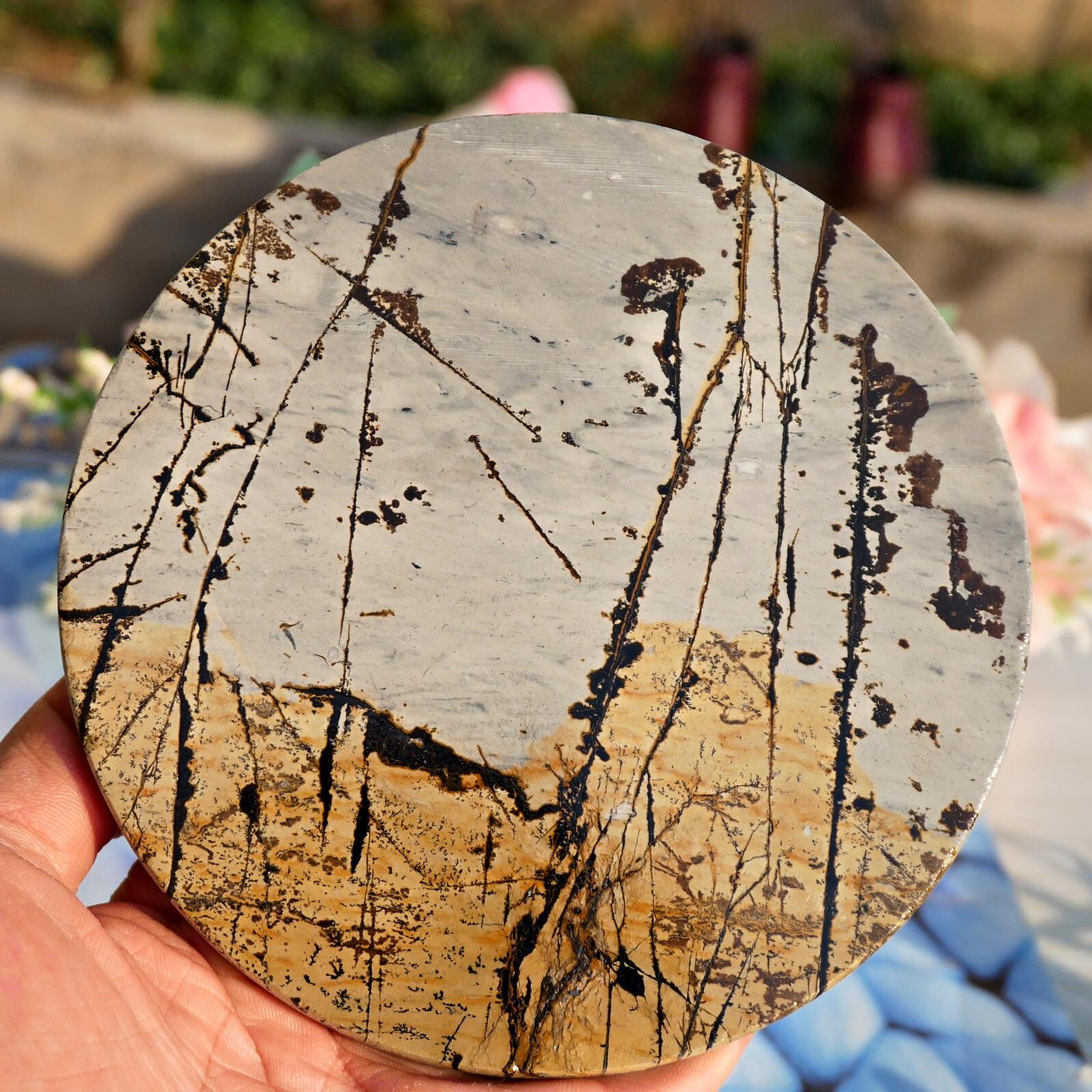 Picture Jasper Round Slice 5in Polished Landscape Stone Disc Display Shelf Decor