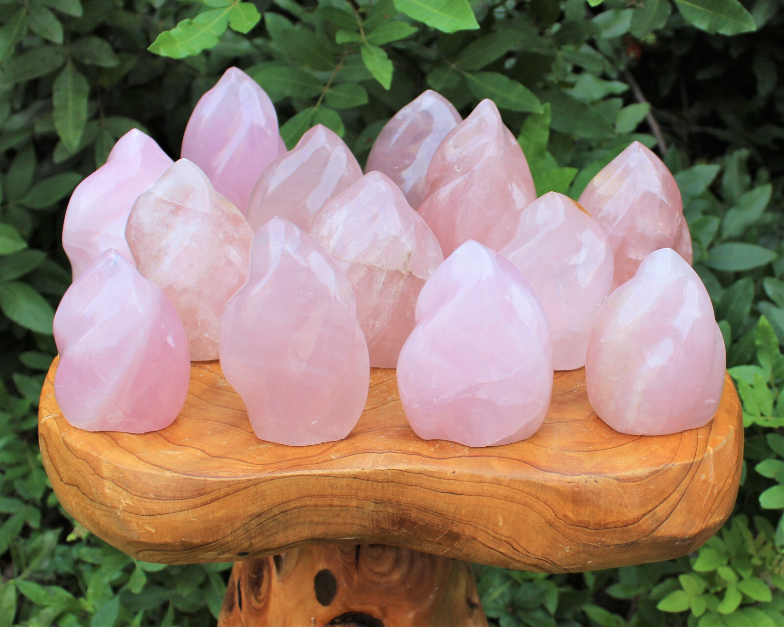 Polished Rose Quartz Crystal Flame – Natural Rose Quartz Flame Cut Base Specimen