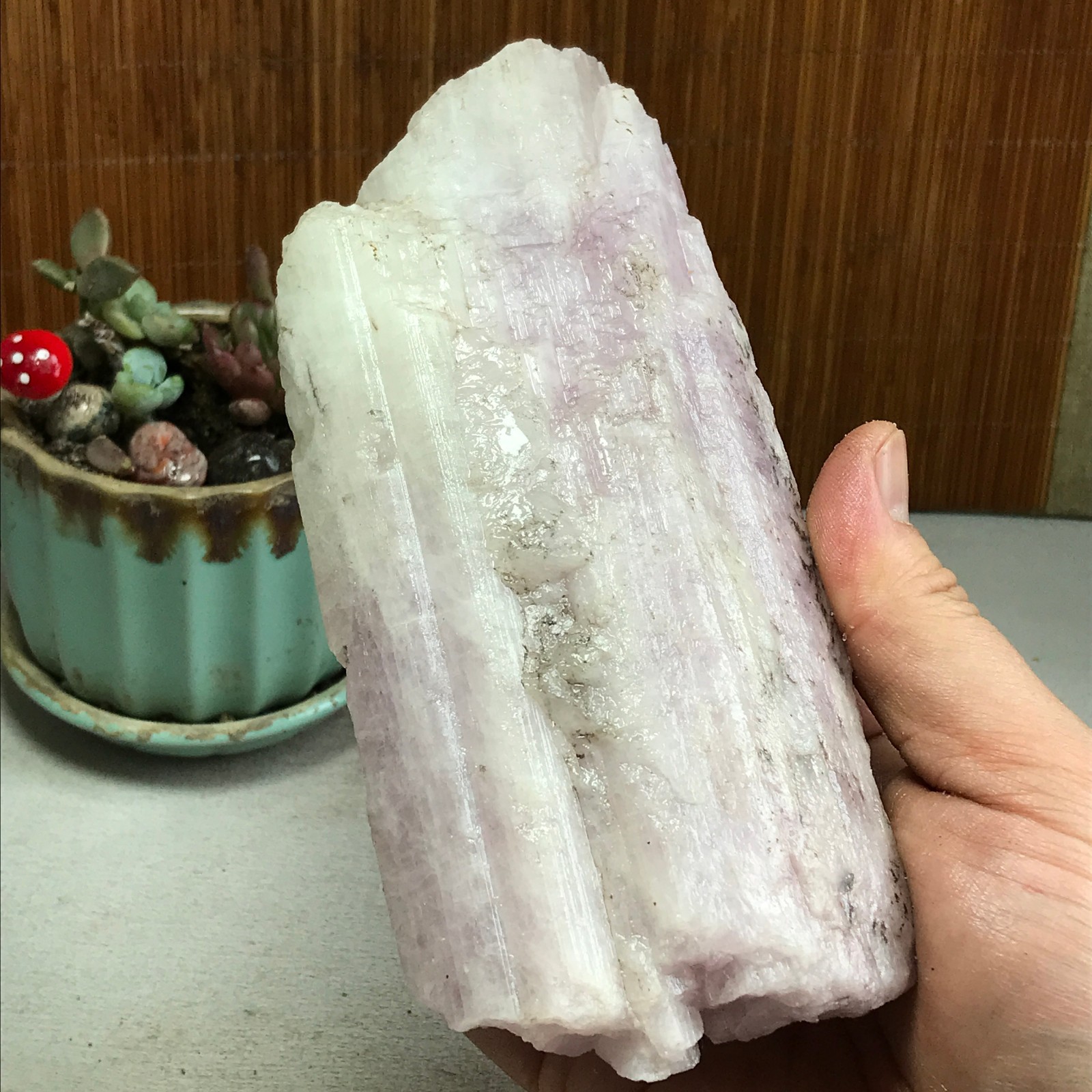 170-78-40mm NATURAL ROUGH KUNZITE PINK SPODUMENE CRYSTALS 830g A4613