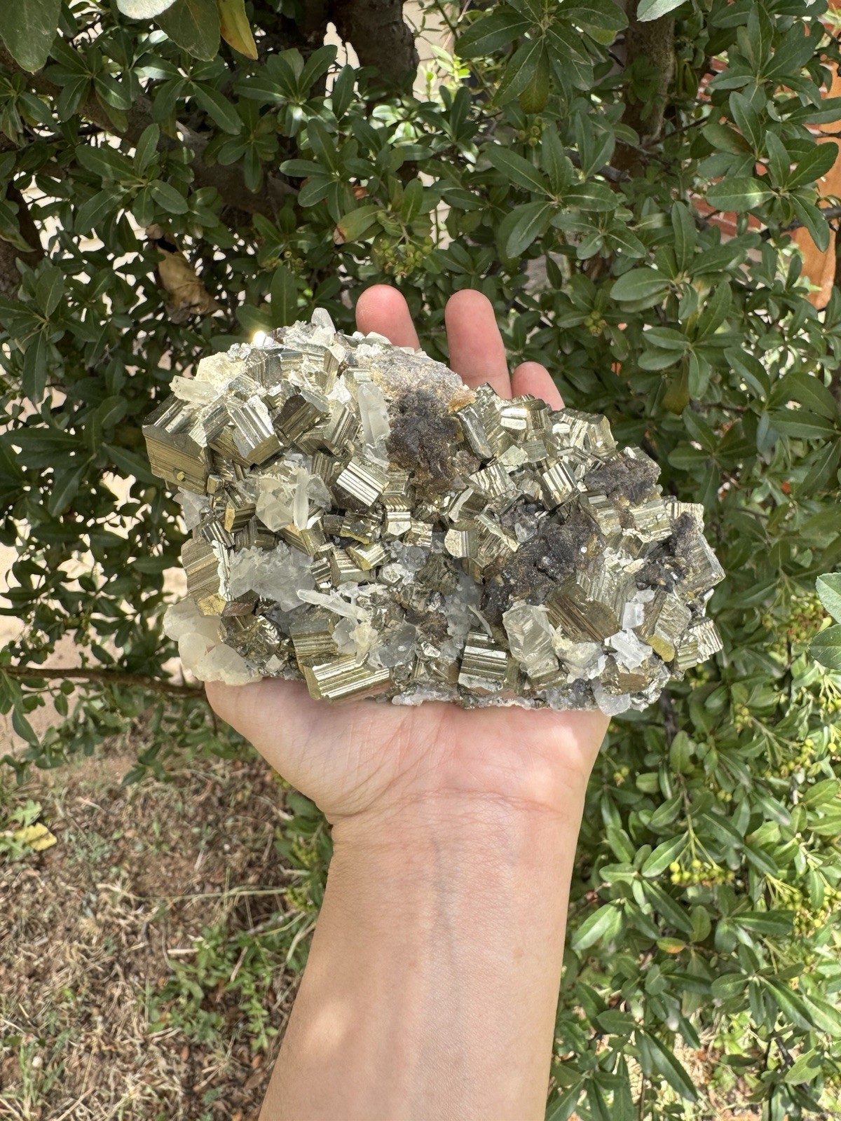 2.2lbs Pyrite cubes on quartz crystal cluster matrix; FREE stand