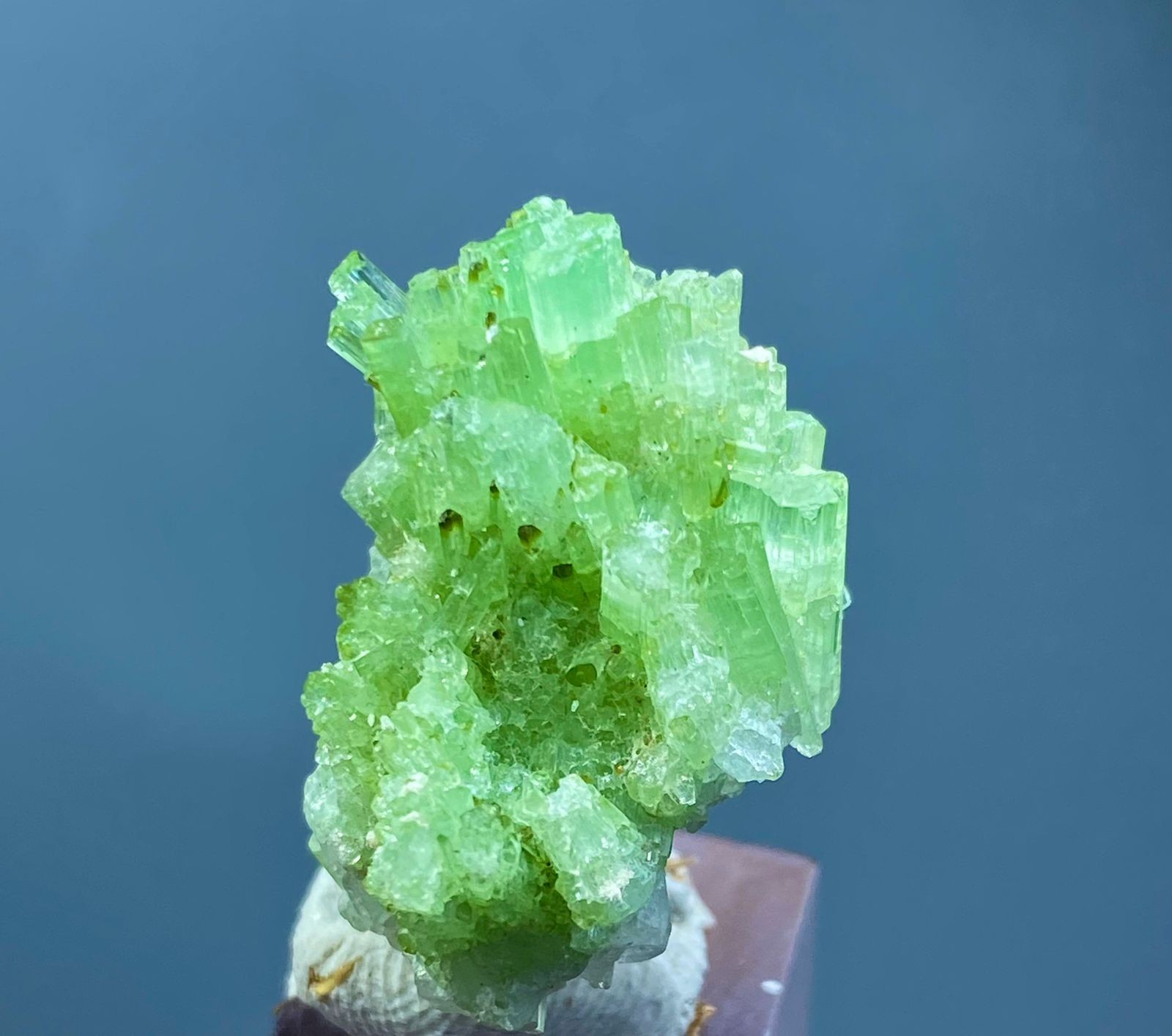 Beautiful Natural Tourmaline Bunch Crystal Specimen Afghanistan 61 Carats