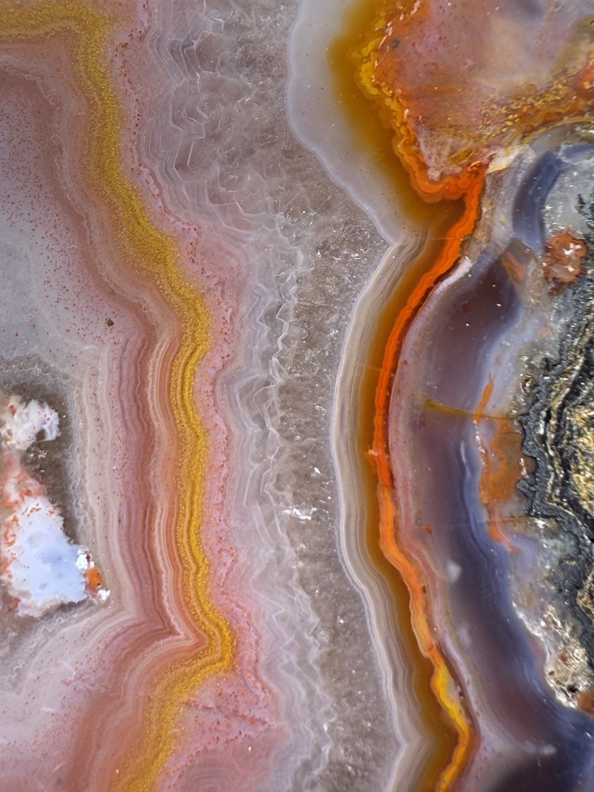 SEE VIDEO High-Grade Multicolor Moroccan Agate | High Atlas | Collector Specimen